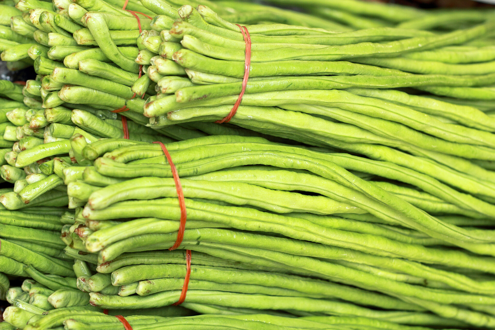 蔬菜菜市场的豇豆特写