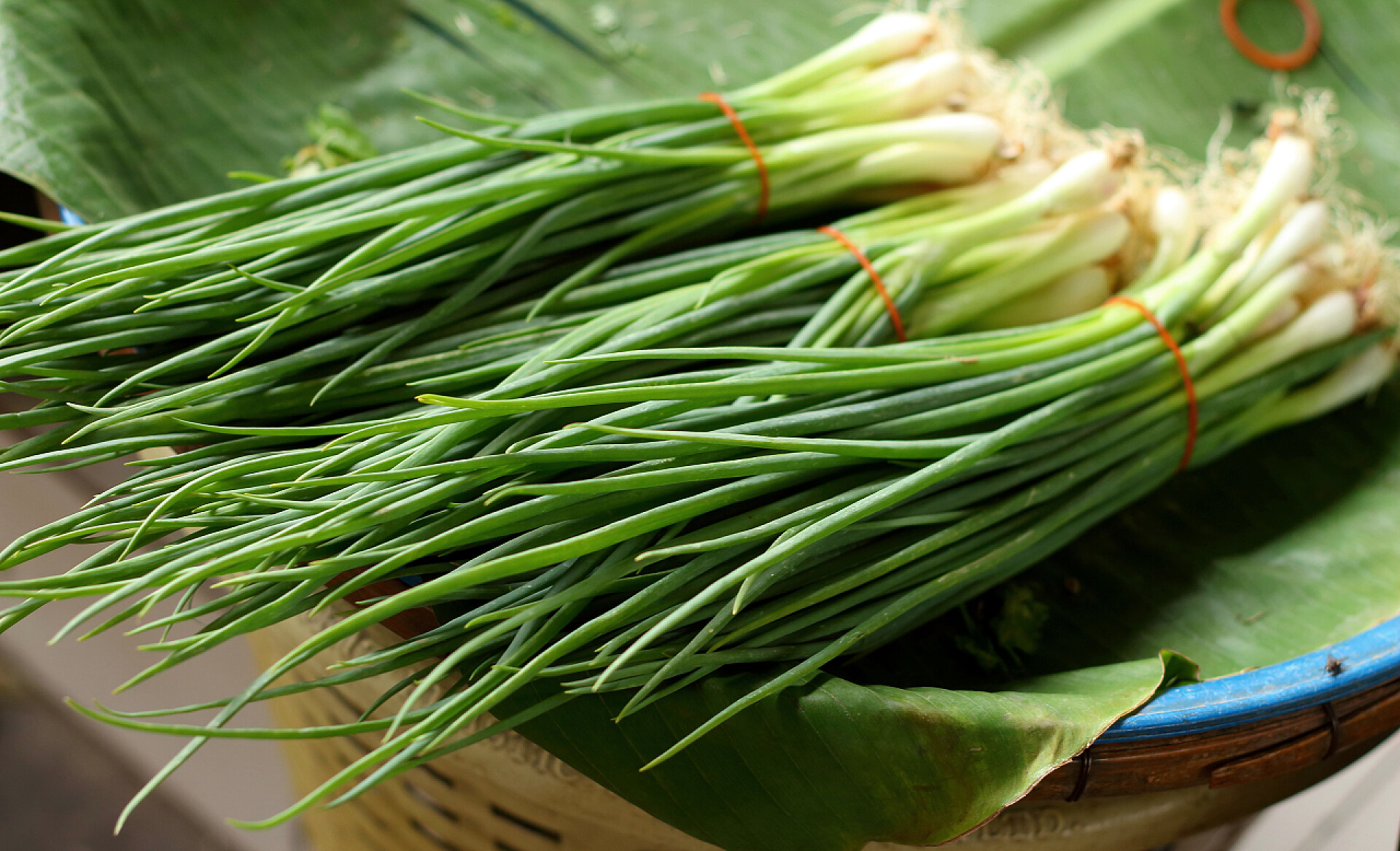 竹筐上的几捆大葱蔬菜