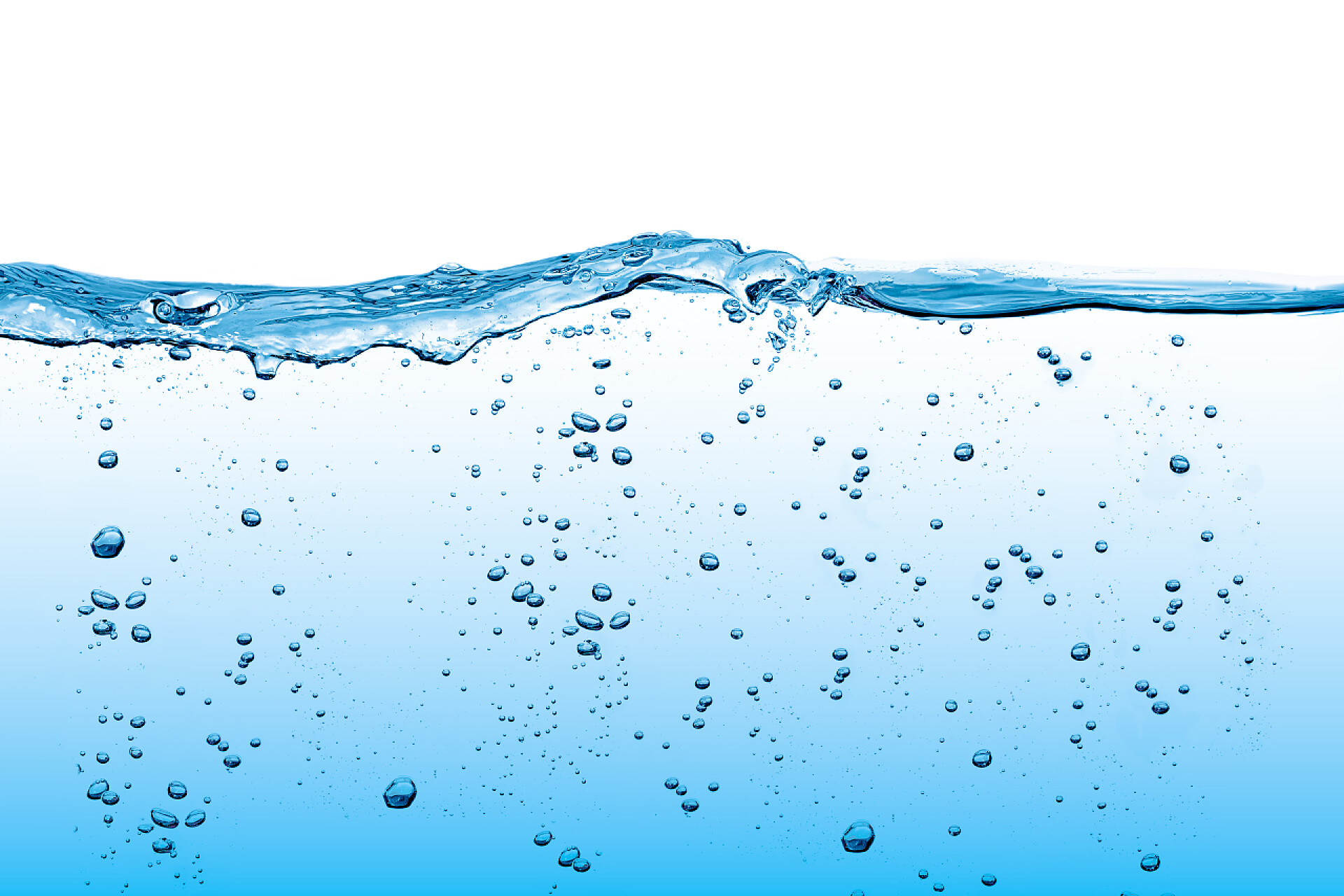 白色背景上蓝色淡水的特写