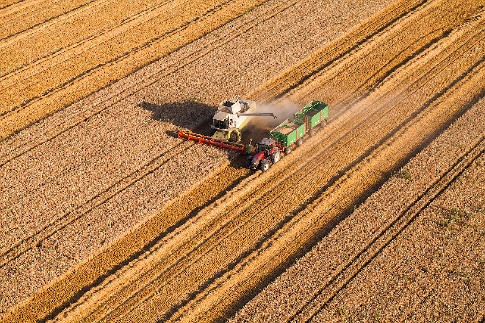 二十四节气芒种背景图芒种节芒种麦田空中拍摄联合收割机收割小麦农业