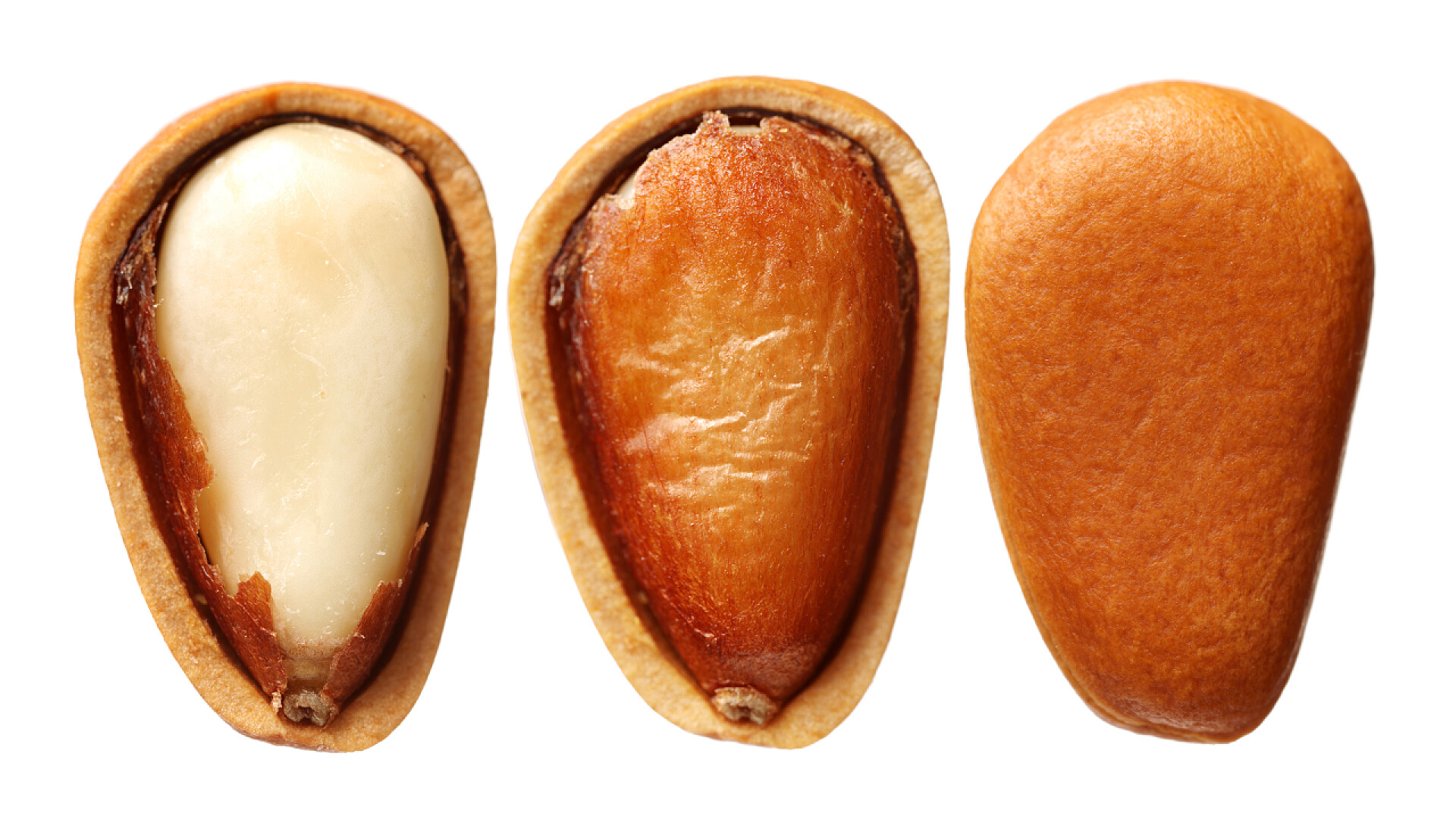 在白色背景下的松仁坚果