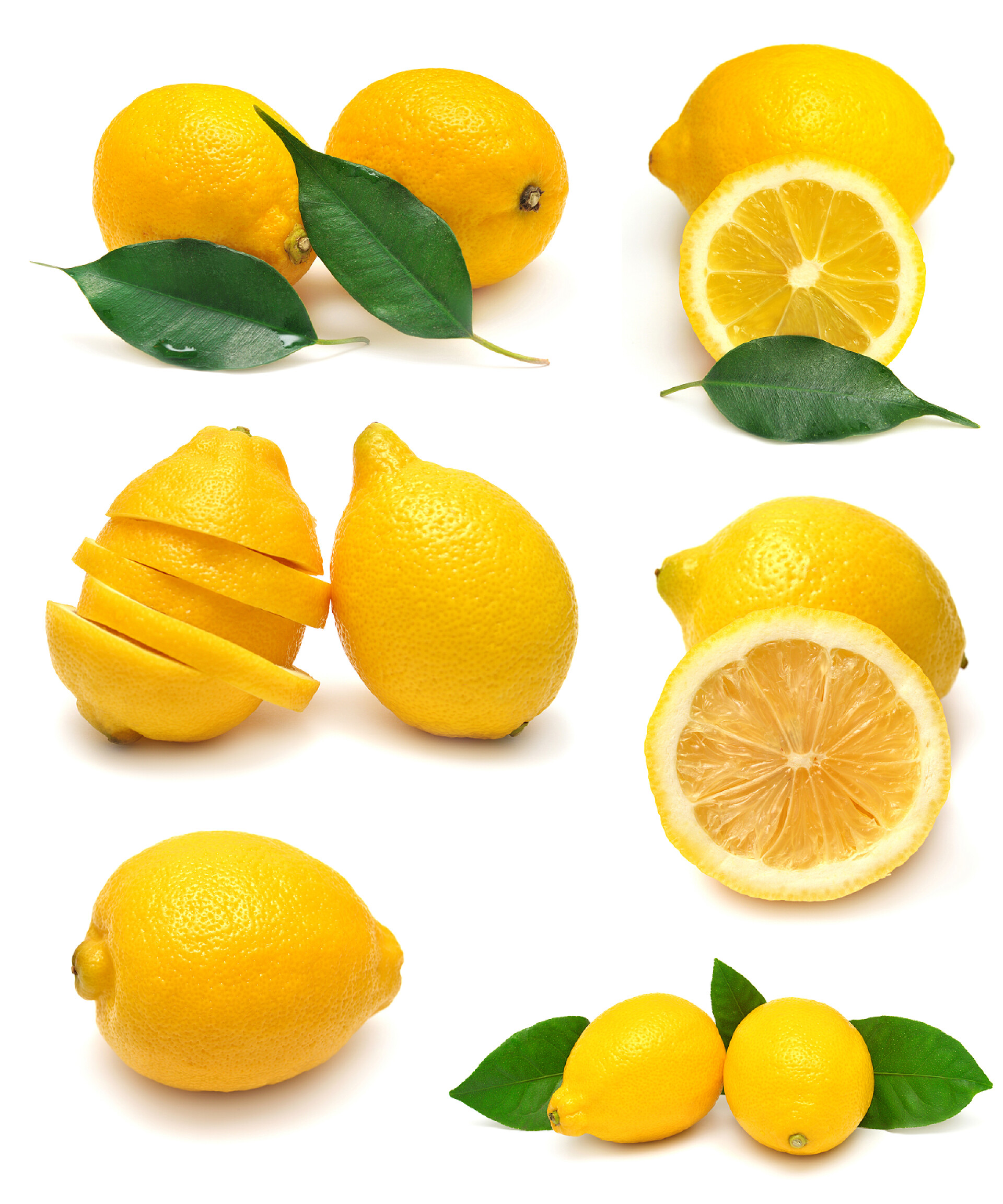 白色背景上各种形态的柠檬合集