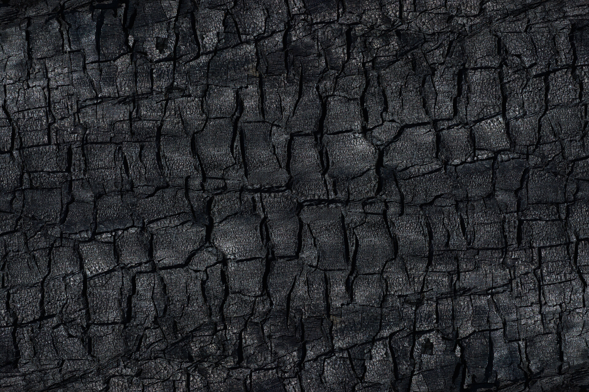 木炭表面的细节展示