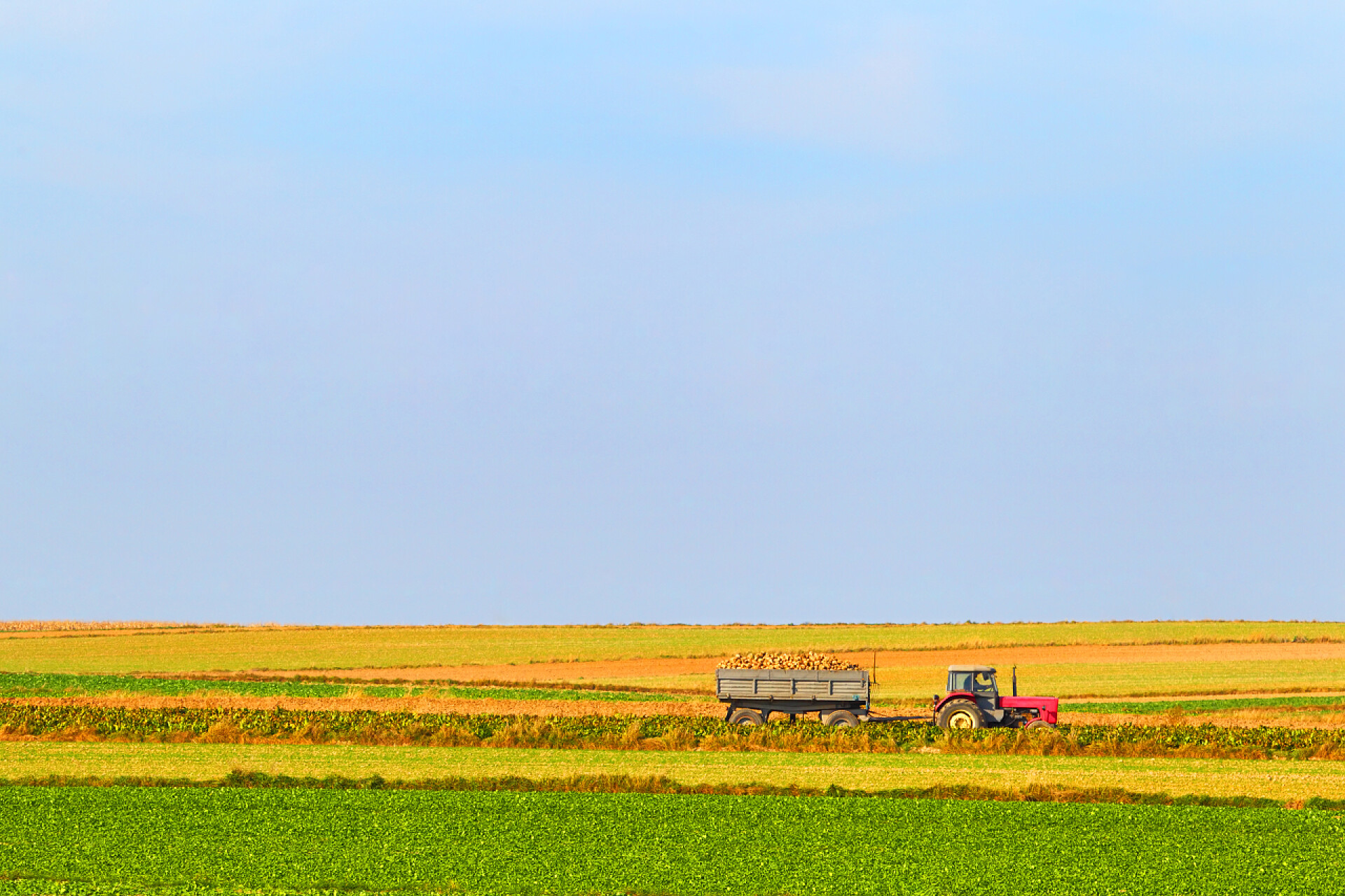 农业农民丰收航拍水稻收割机收割农作物