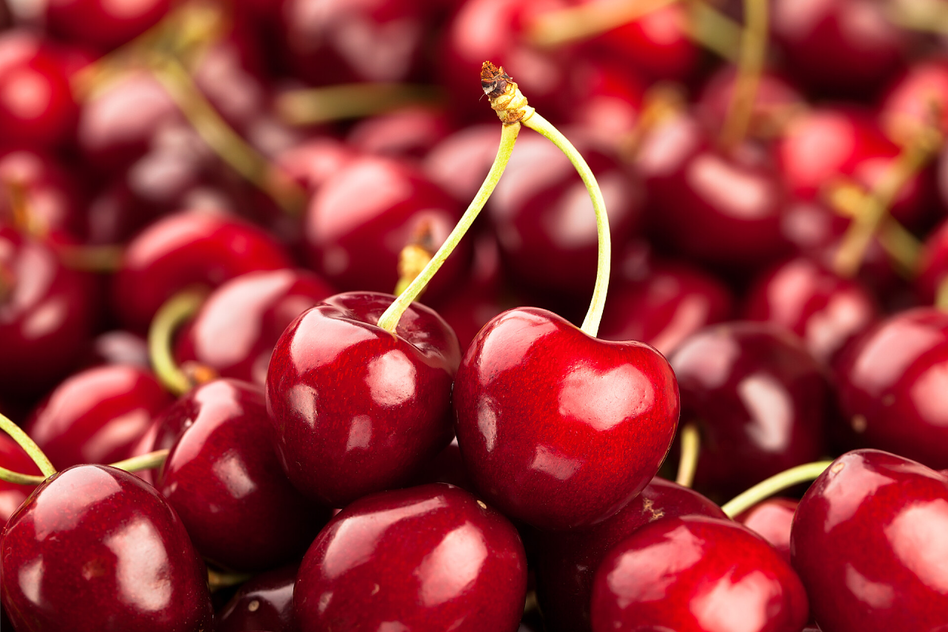 水果鲜艳欲滴的红樱桃