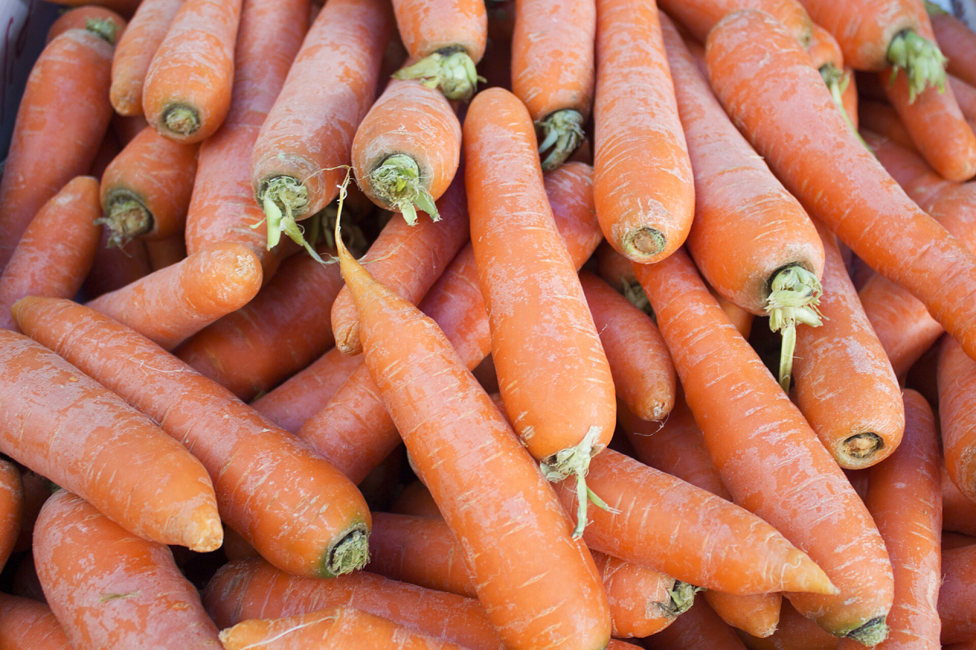 蔬菜市场摊档的胡萝卜