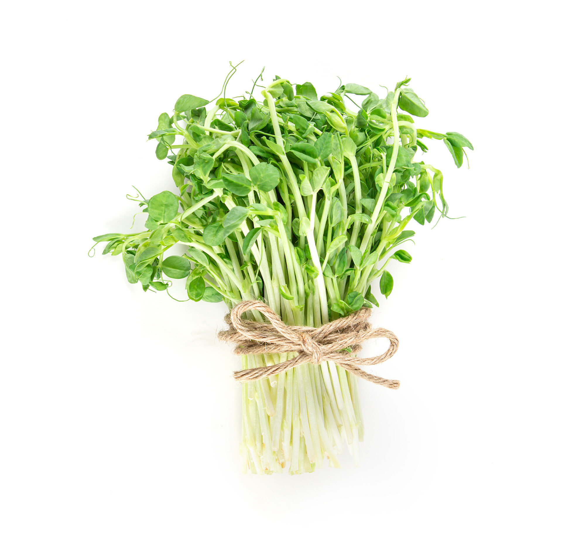 白色背景上的一捆青豌豆发芽的特写蔬菜