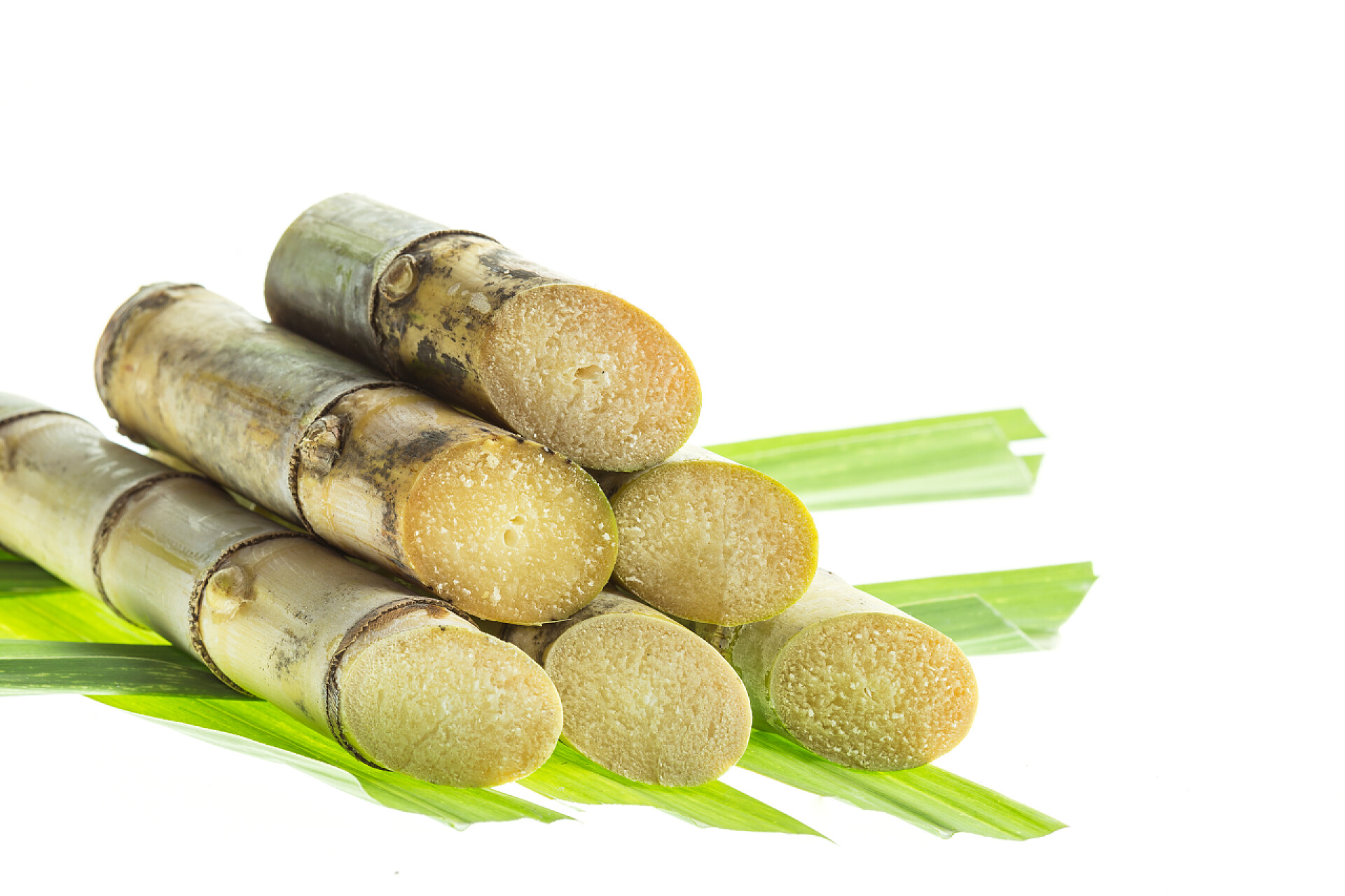 白色背景上的绿叶和绿色甘蔗食物