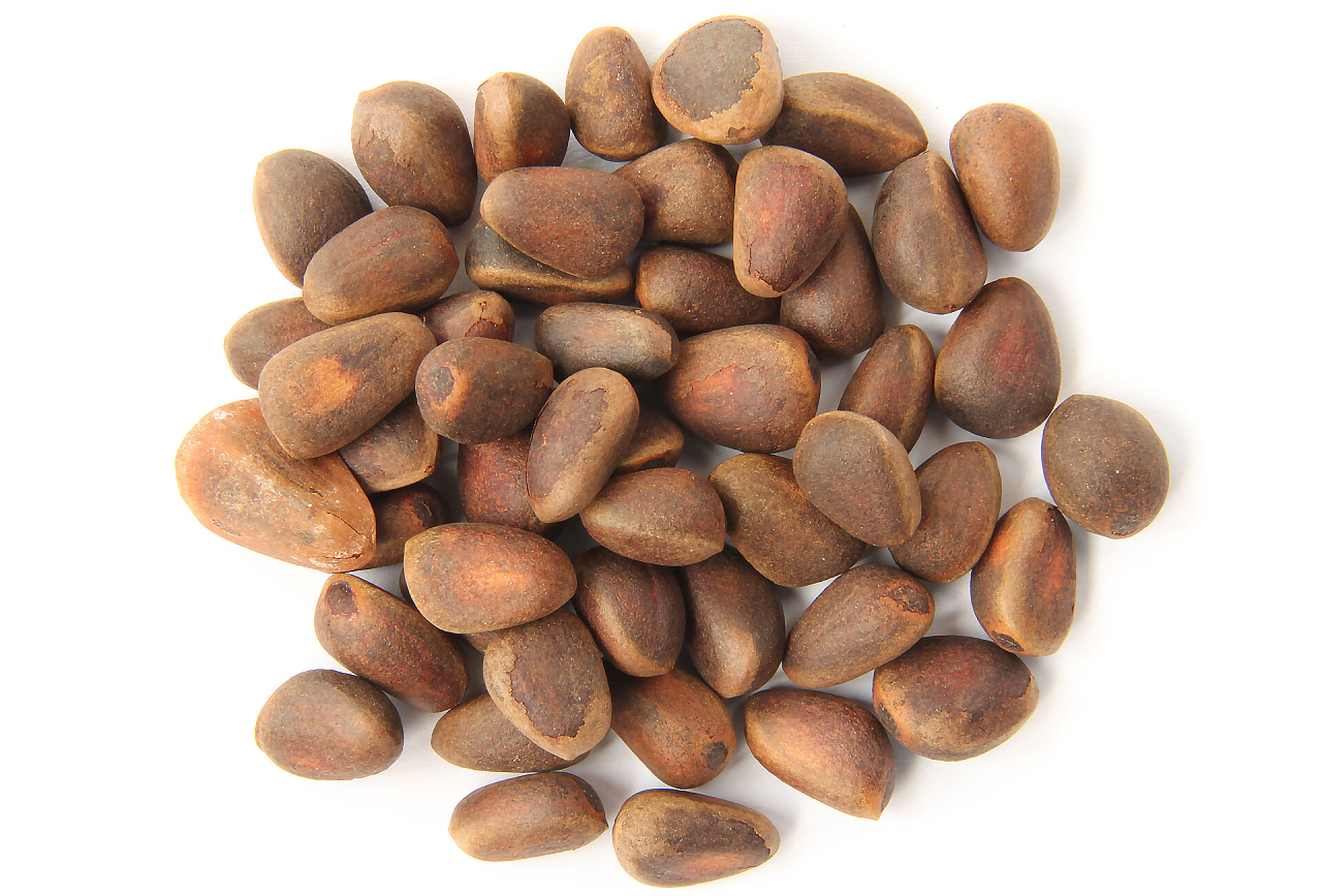 白色背景的壳中的松果坚果零食