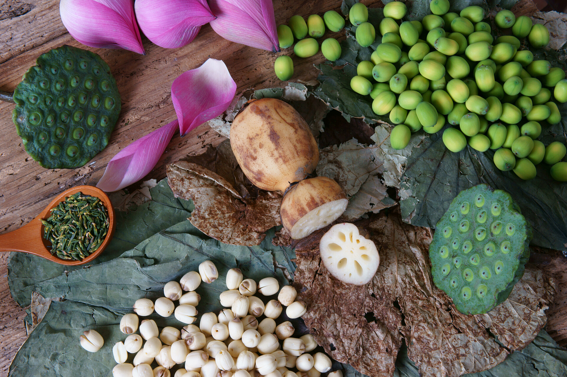植物桌子上的荷花莲蓬种子