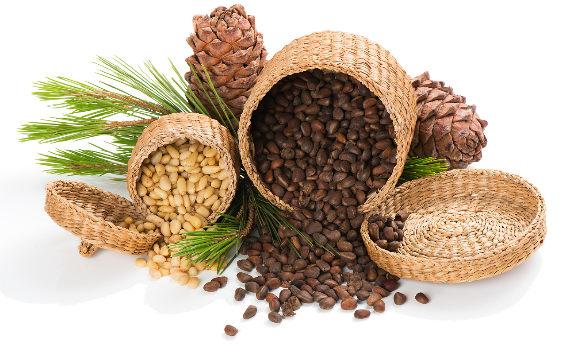 坚果食物白色背景上从篮子倒出来的松子