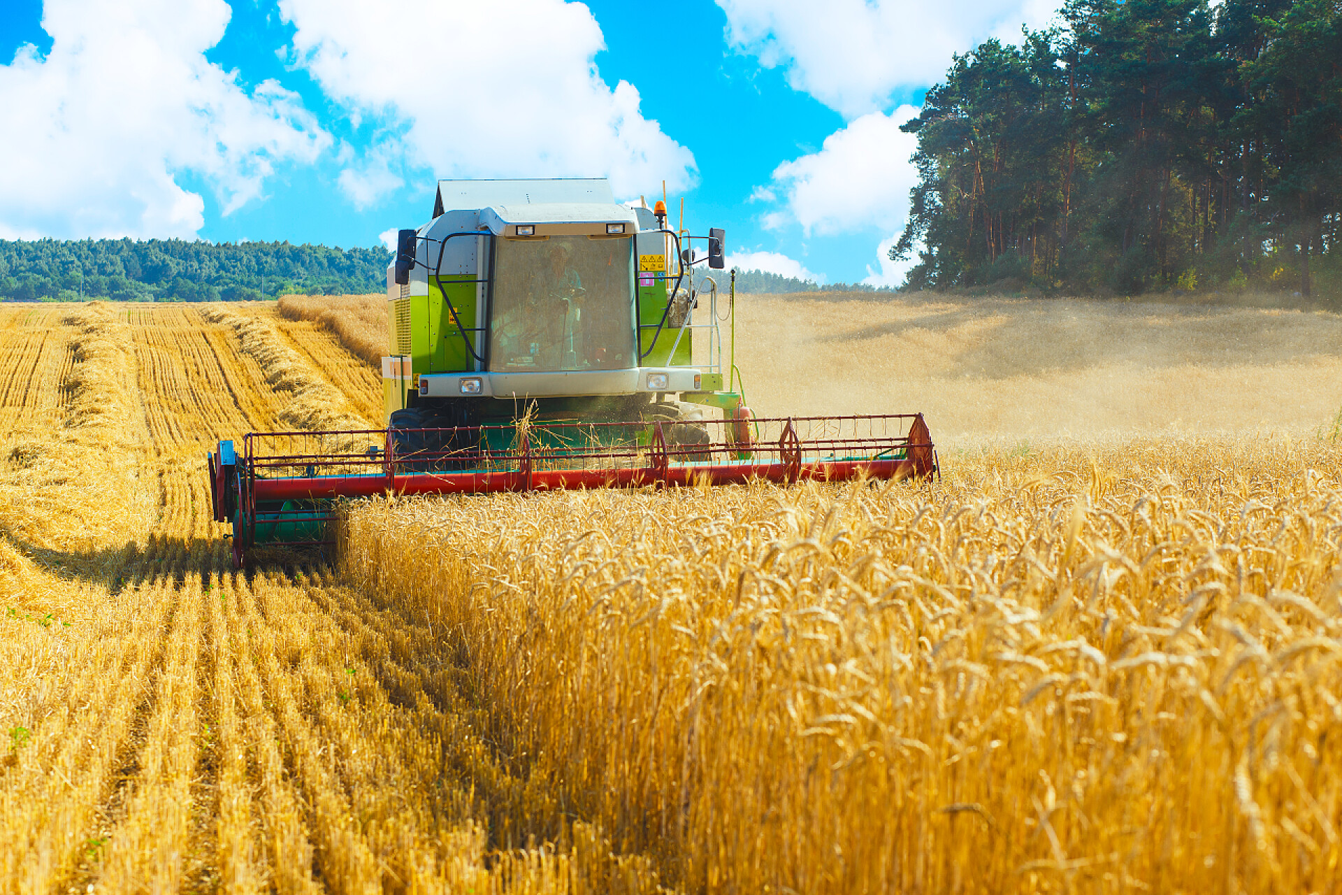 在小麦地里工作的联合收割机