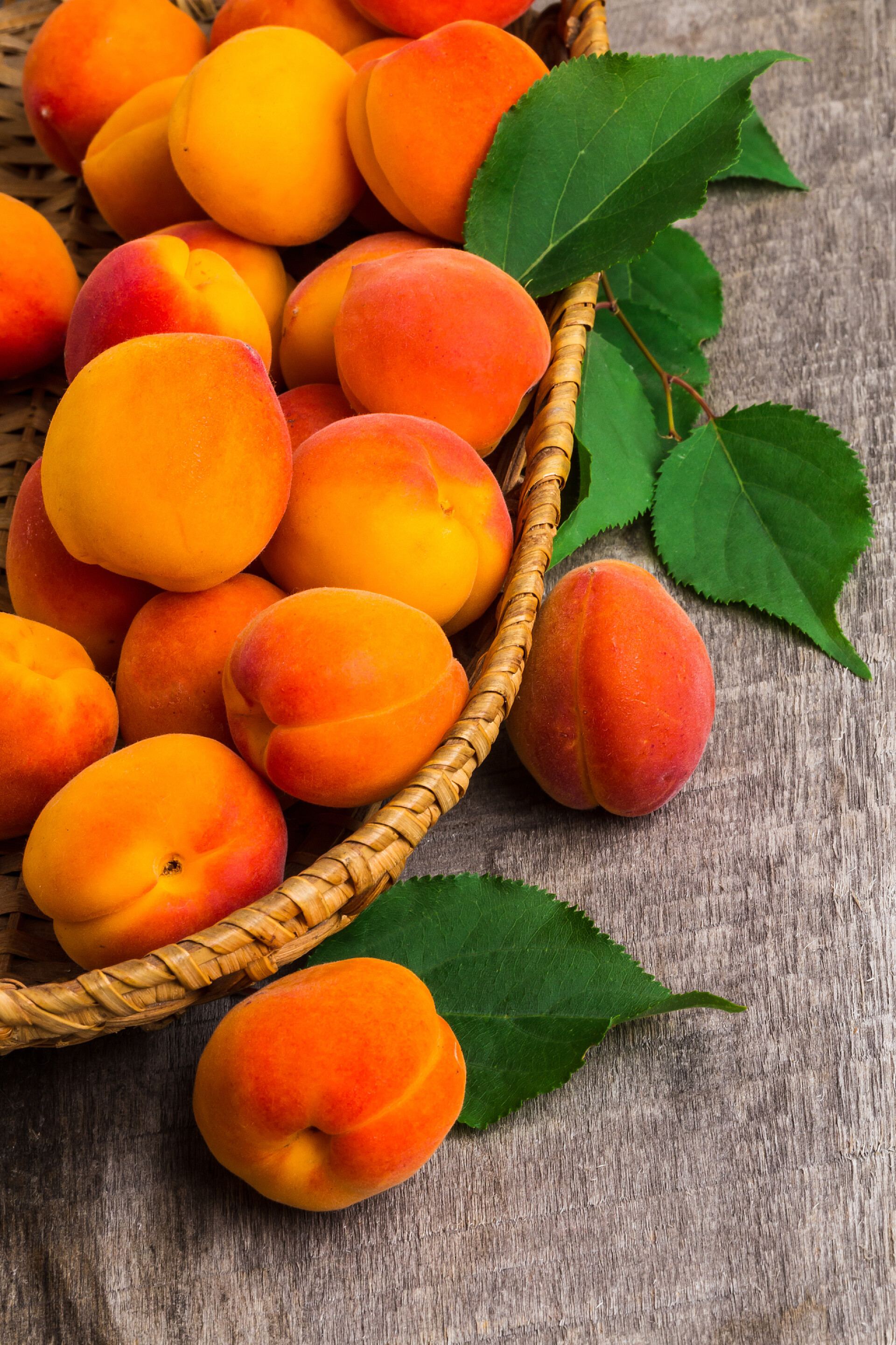 营养均衡旧木桌上的杏子和叶子