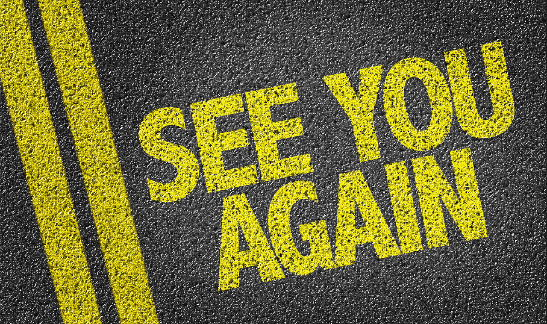 再次见到你写的路上