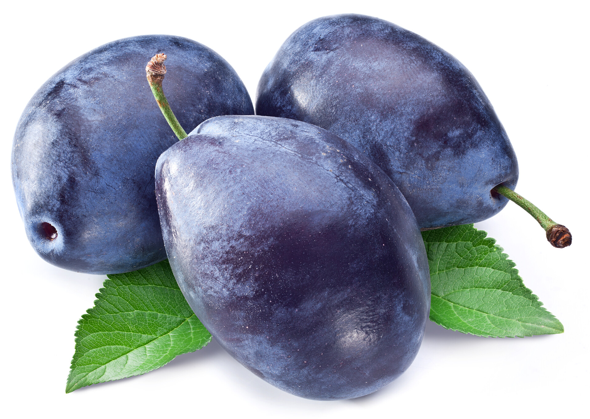 白色背景上的水果西梅特写