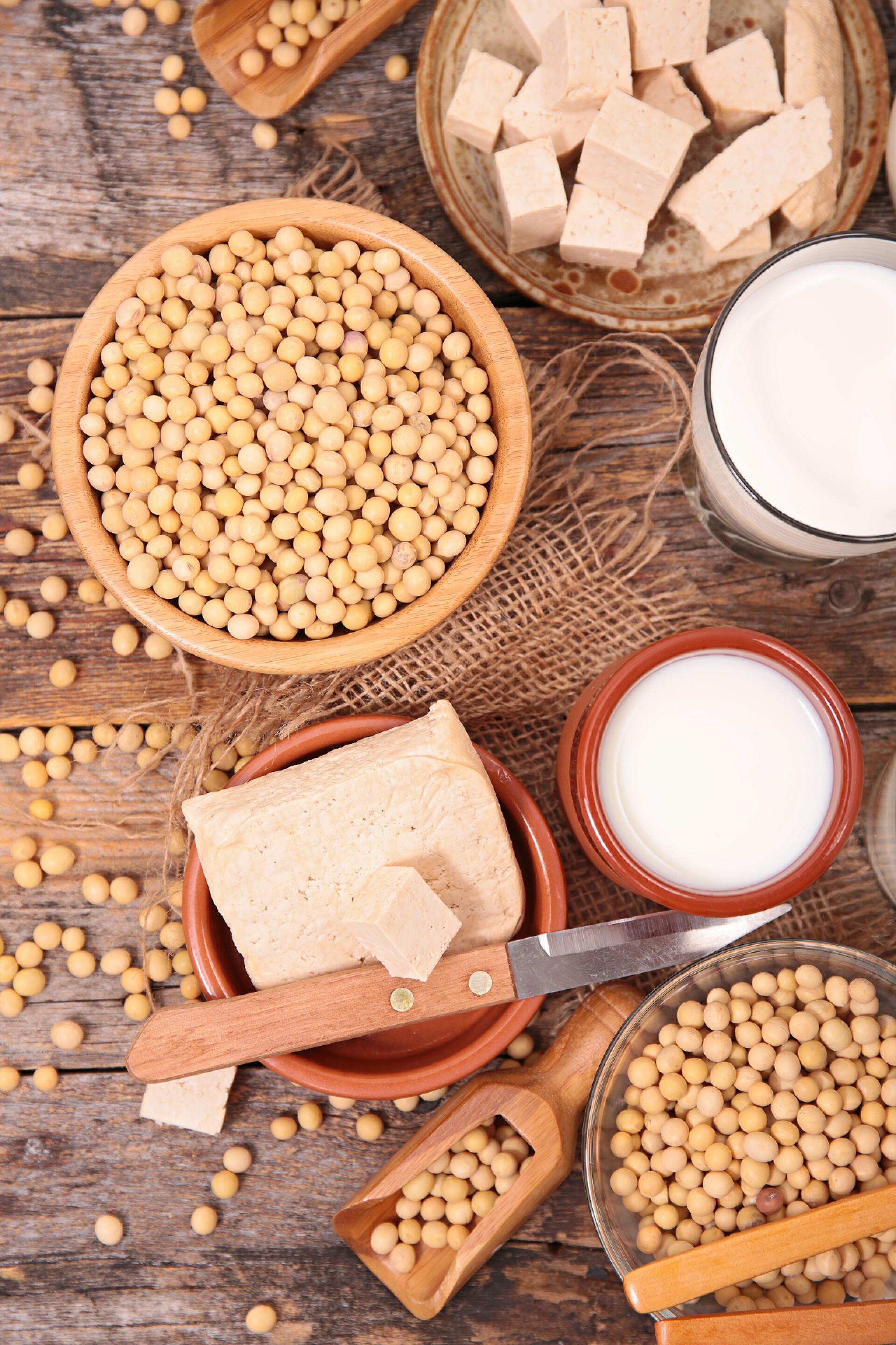 食品大豆产品分类豆制品