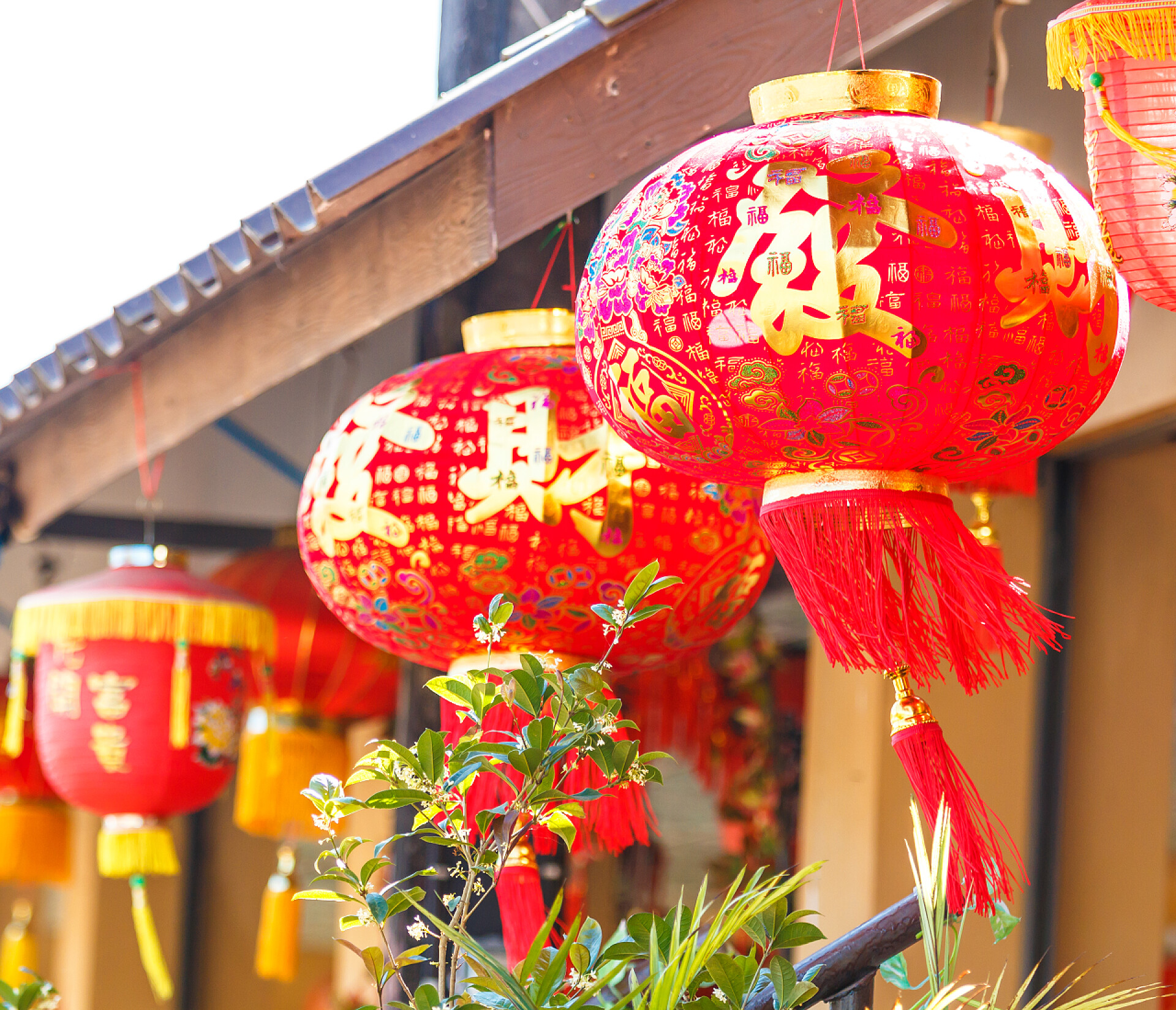 新的一年中国红灯笼