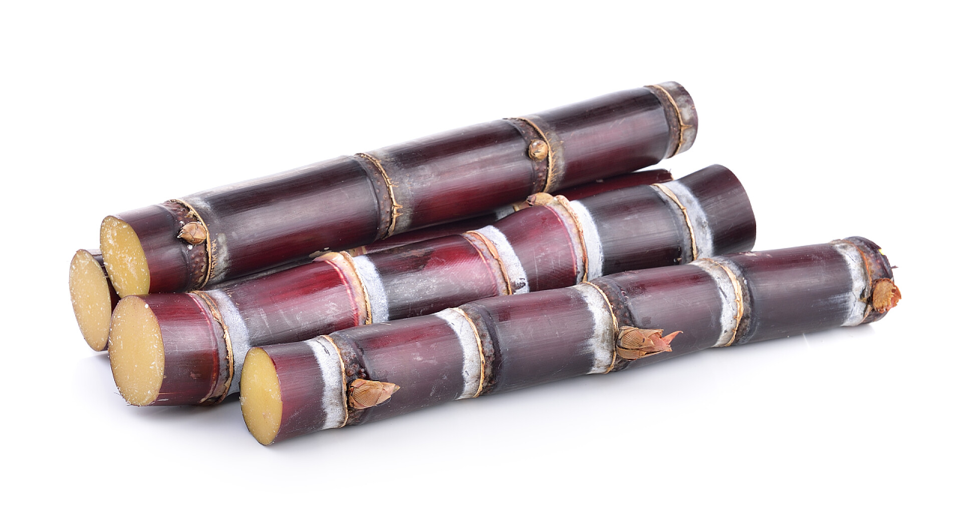 白色背景上的甘蔗农作物