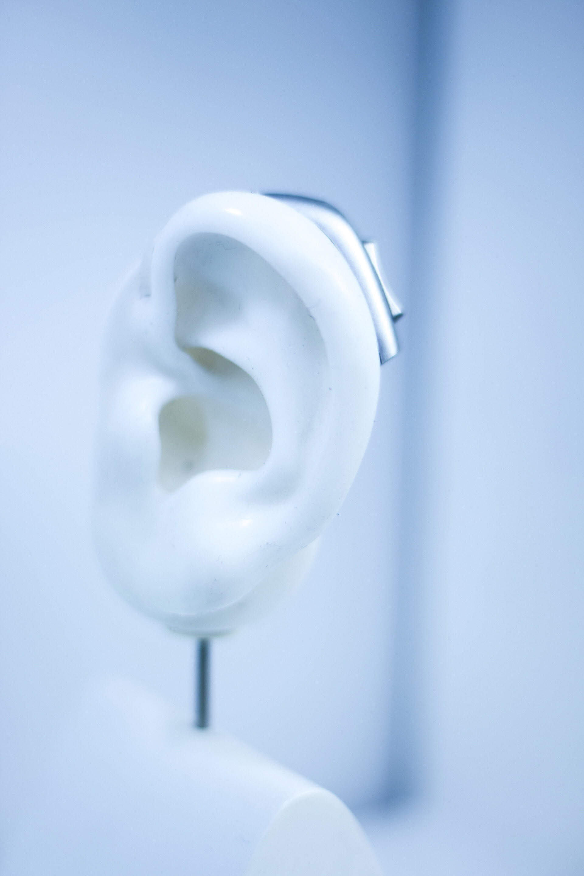 助听器在耳朵模型上医疗健康