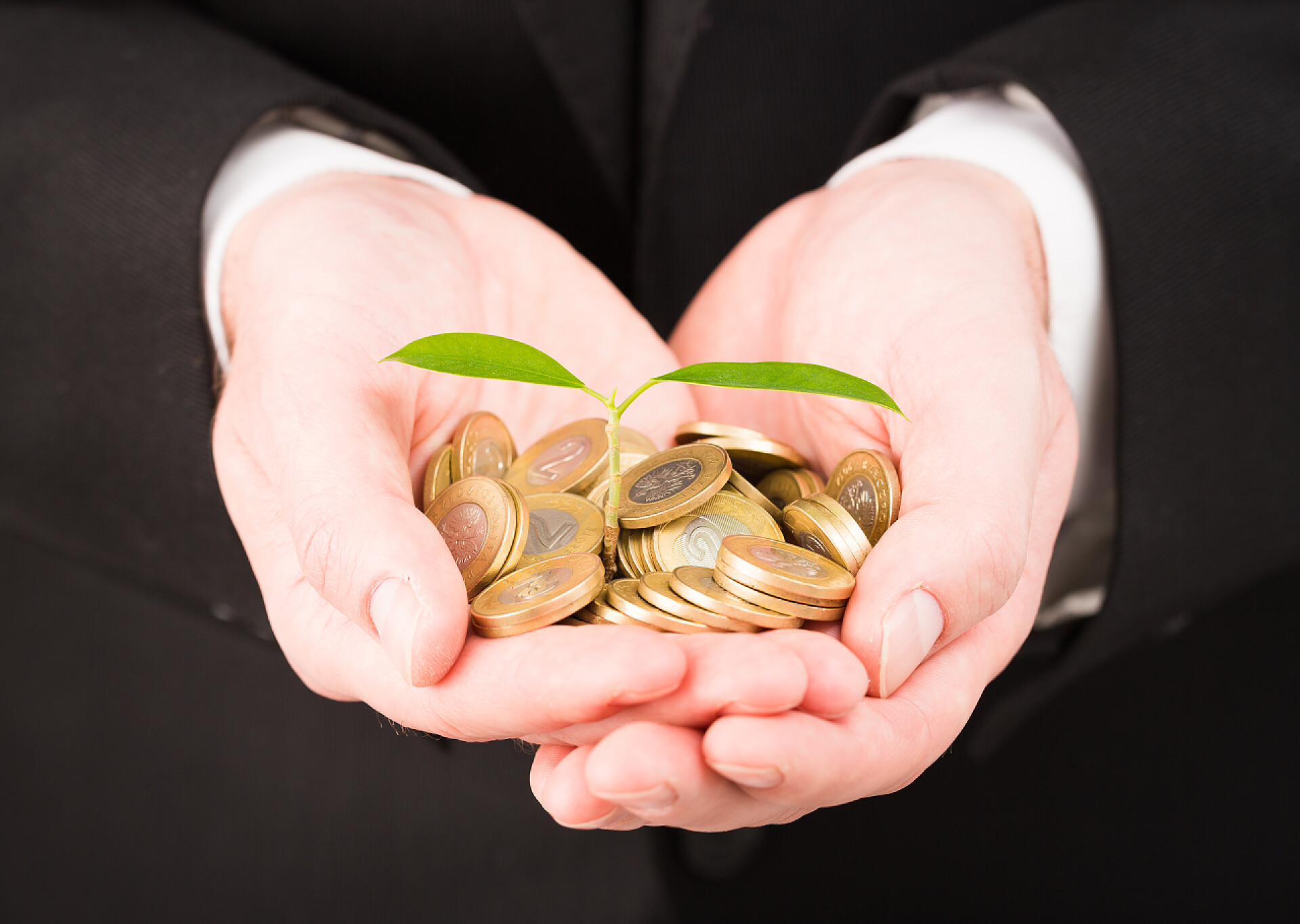 女人手中捧着一把金币金融