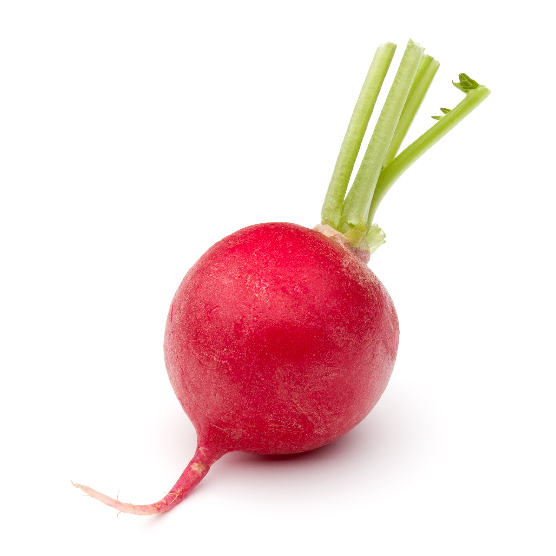 白色背景上孤立的萝卜蔬菜