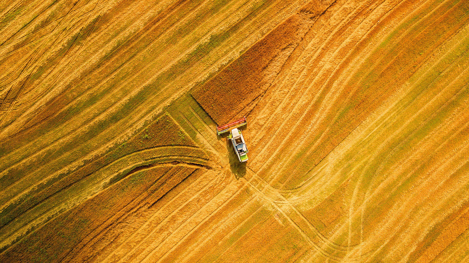 二十四节气芒种背景图芒种节芒种麦田航拍收割机收获小麦田农业