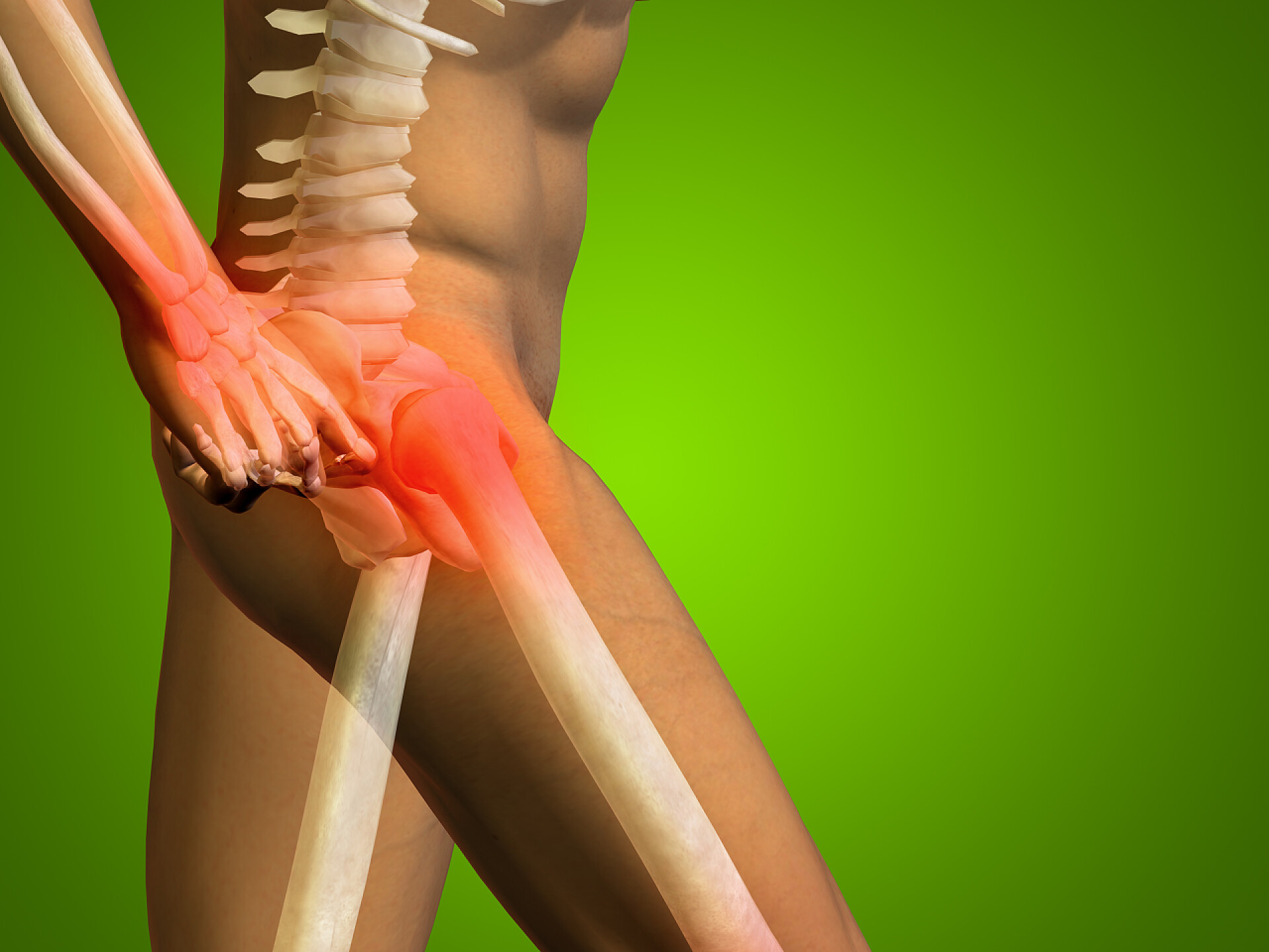 绿色背景上的人体关节疼痛渲染图医疗健康