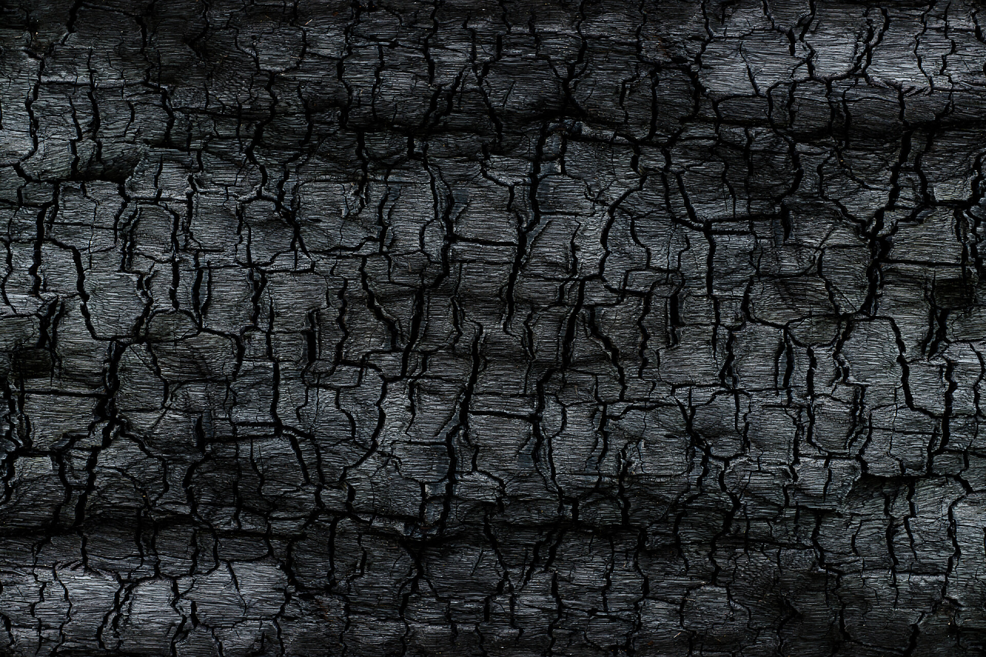 烧黑的木炭纹理