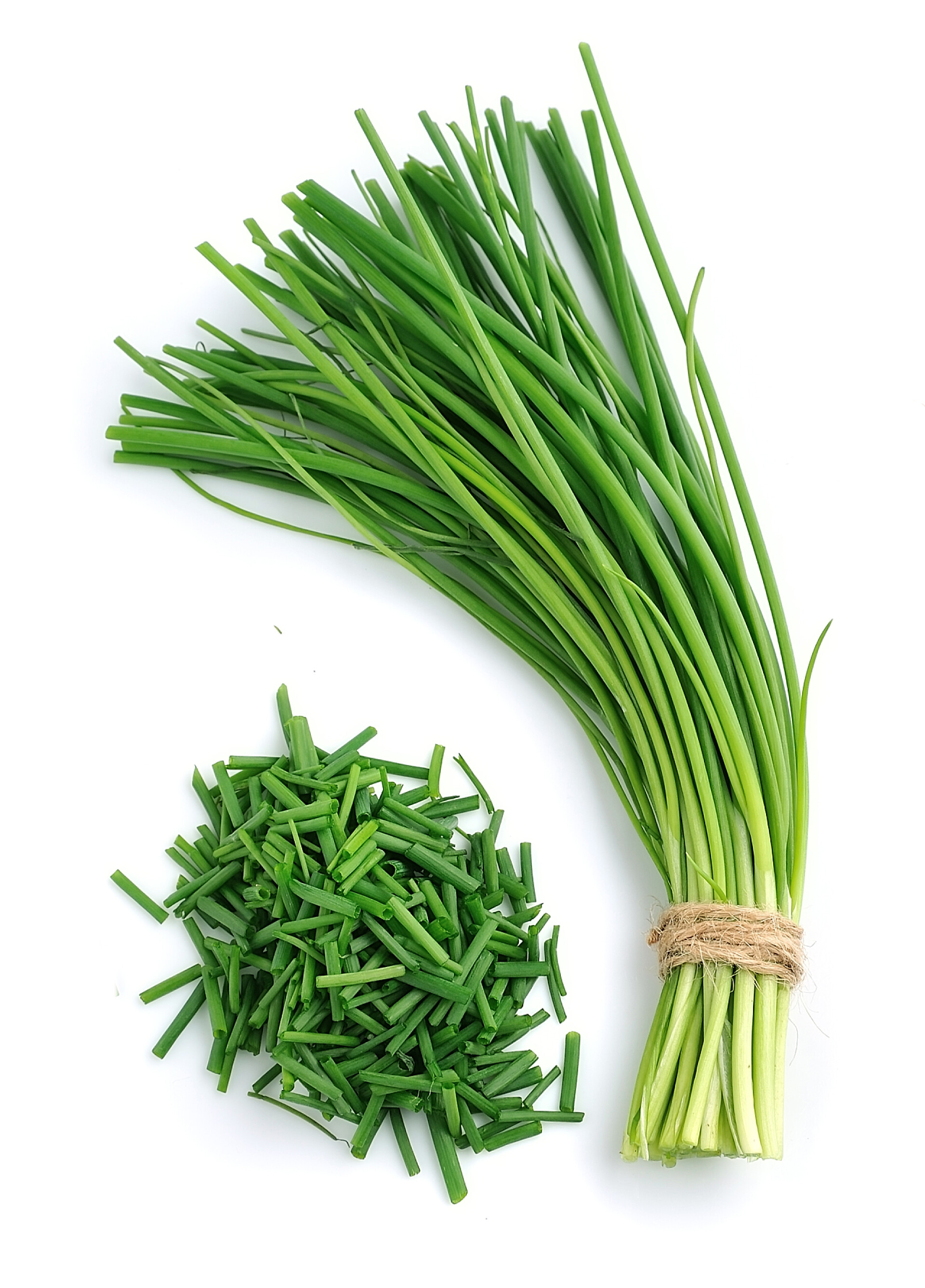 蔬菜白色背景上的香葱