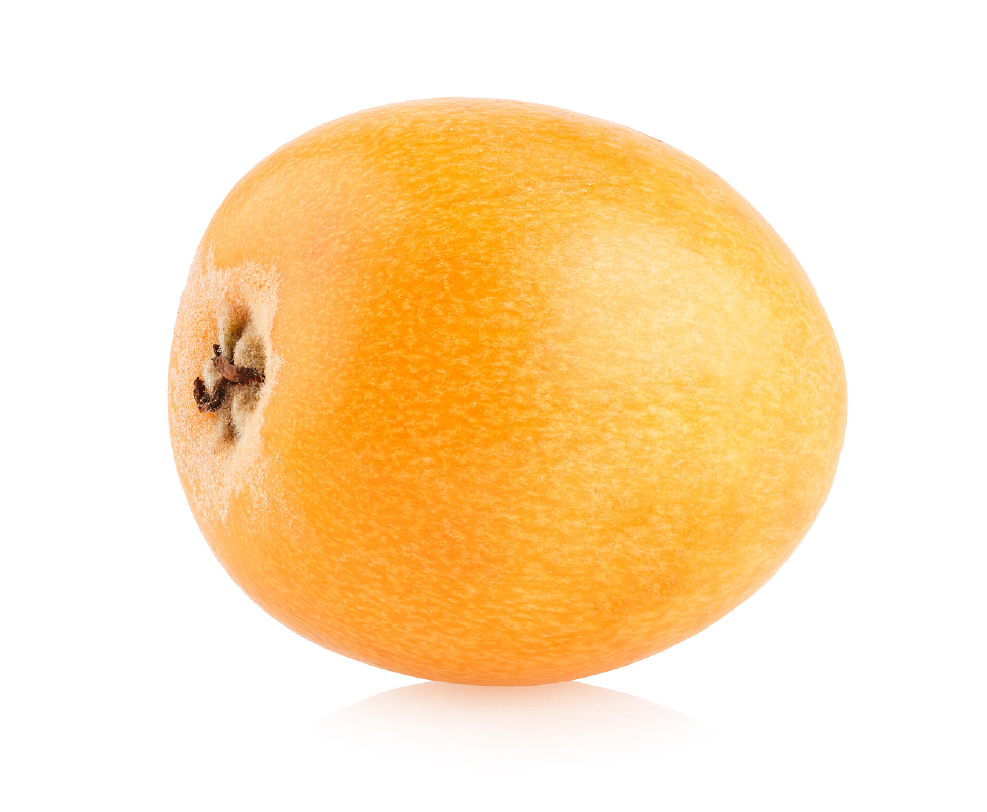 水果白色背景上的新鲜成熟的枇杷