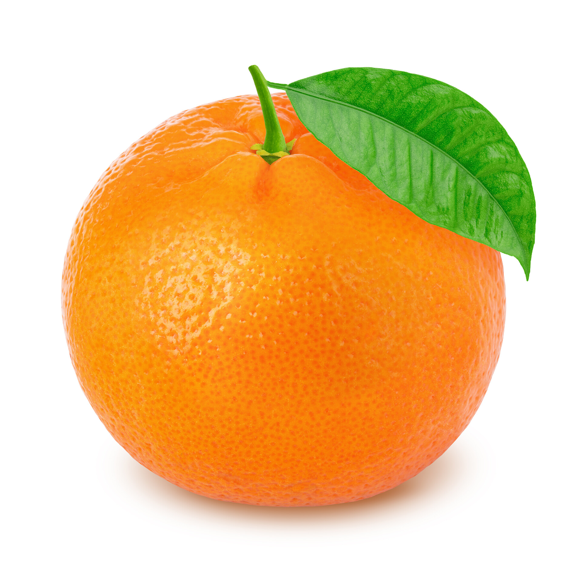 水果白色背景上一个带着的柑橘