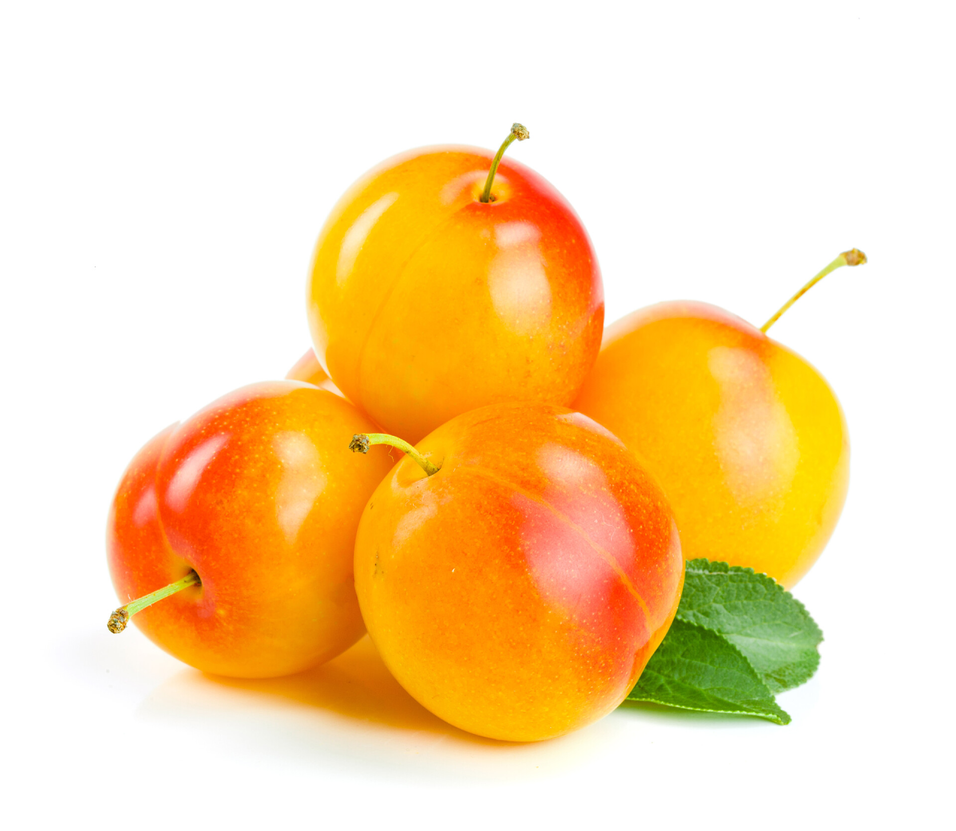 水果白色背景上的黄梅子