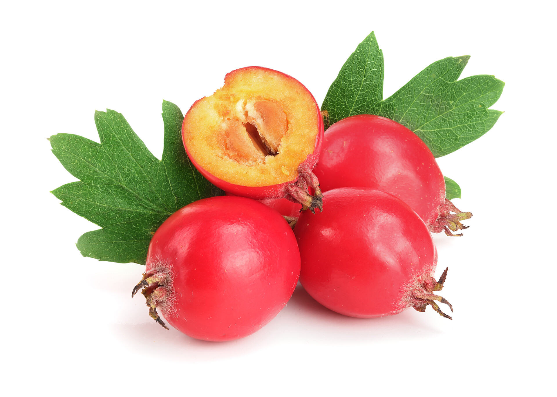 水果白色背景上的山楂果