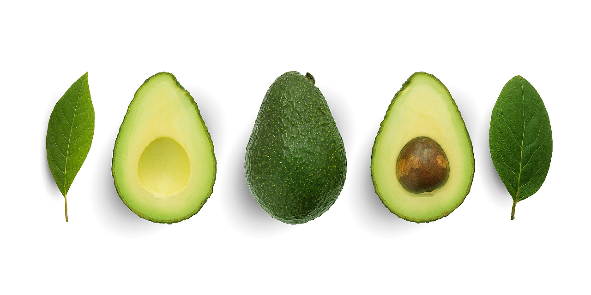 白色背景上的水果牛油果和叶子