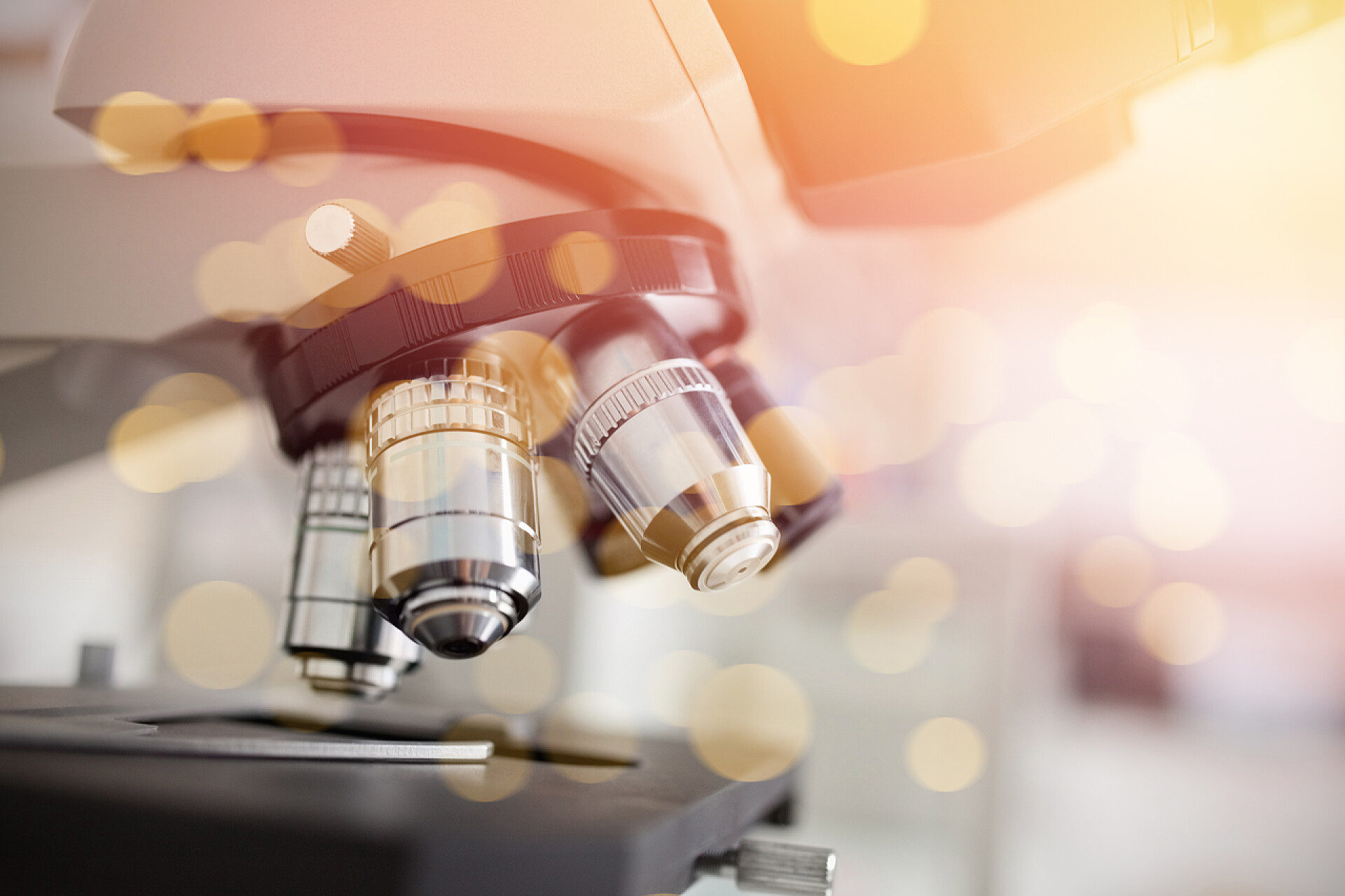 医药科研医疗在实验室里把显微镜做研究