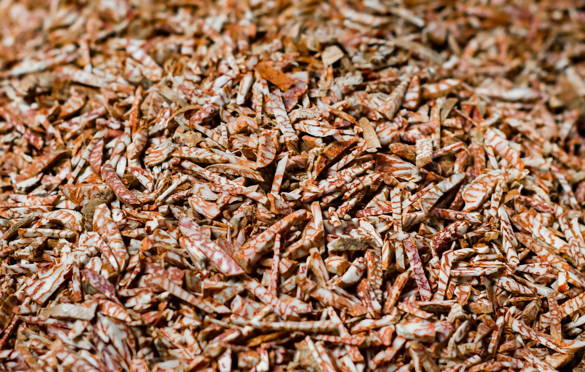 桌面上的槟榔切细特写镜头