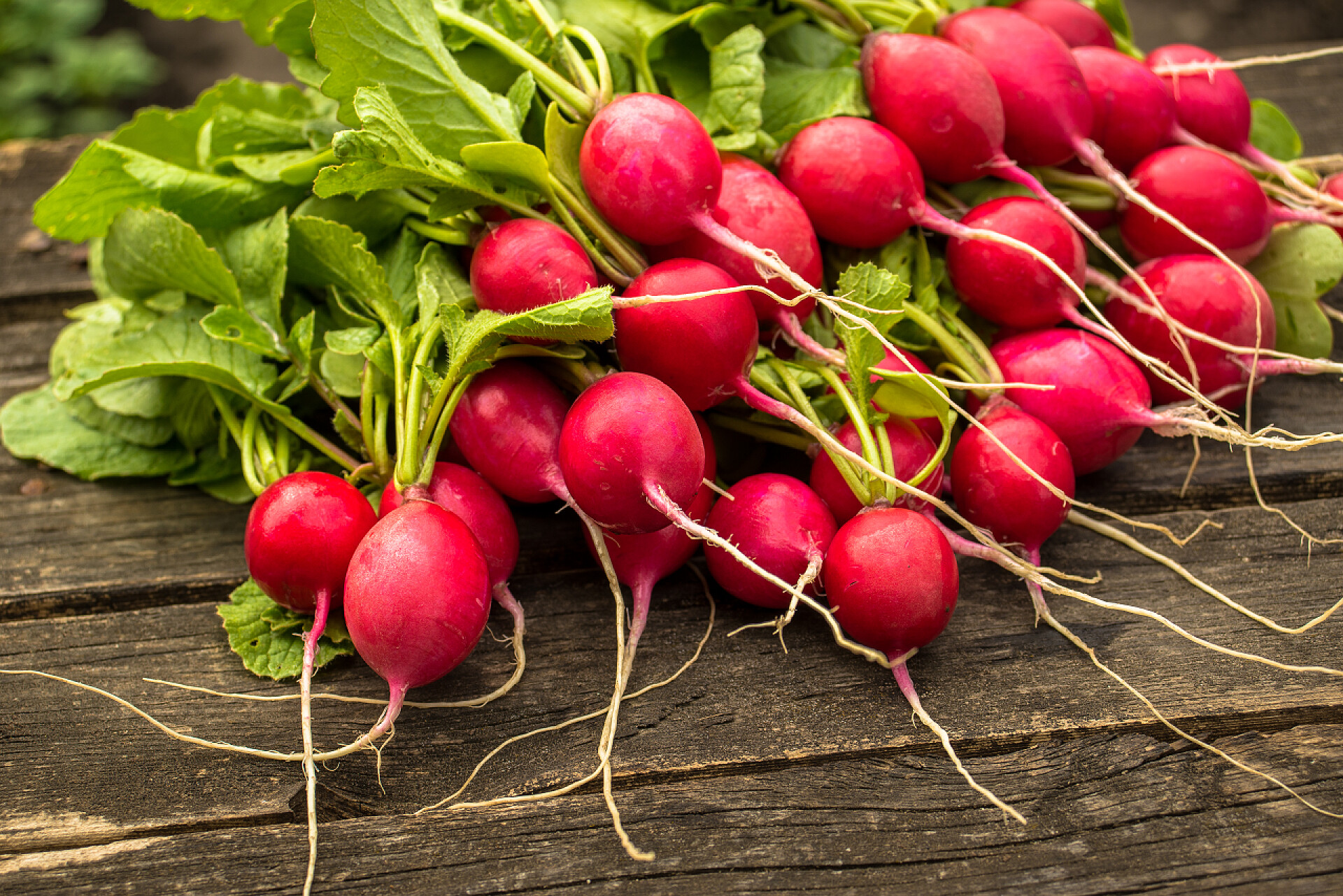 蔬菜新鲜樱桃水果萝卜