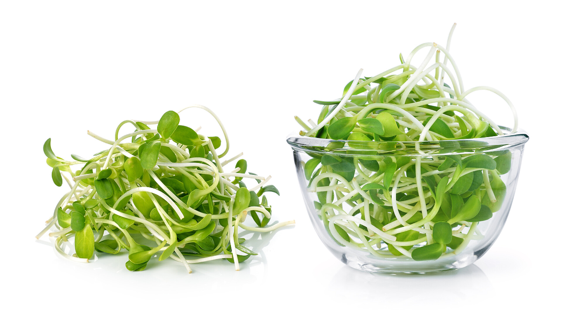 蔬菜在白色背景上的绿色豆苗