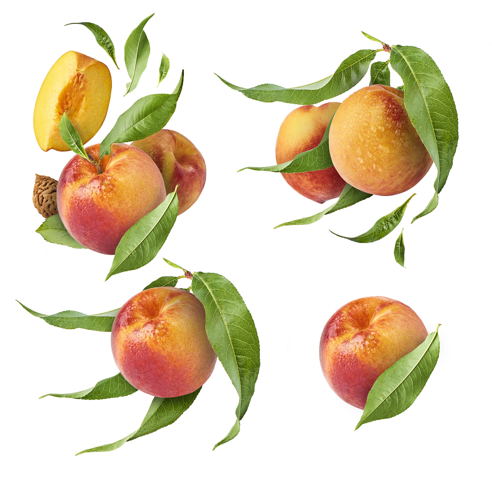 水果桃子的剪贴画特写