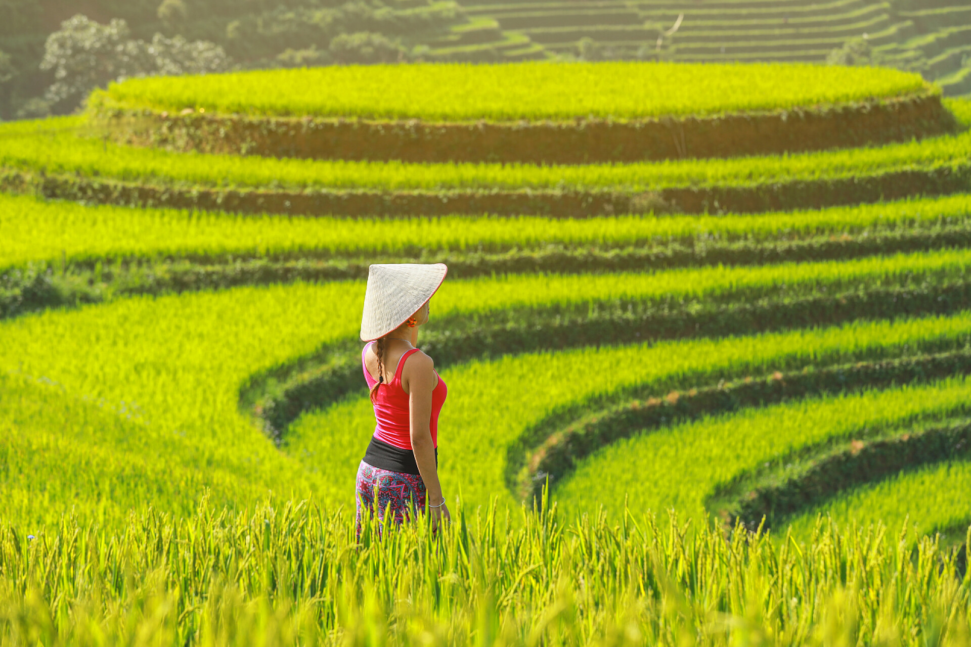 越南女孩在田野里特写自然风景
