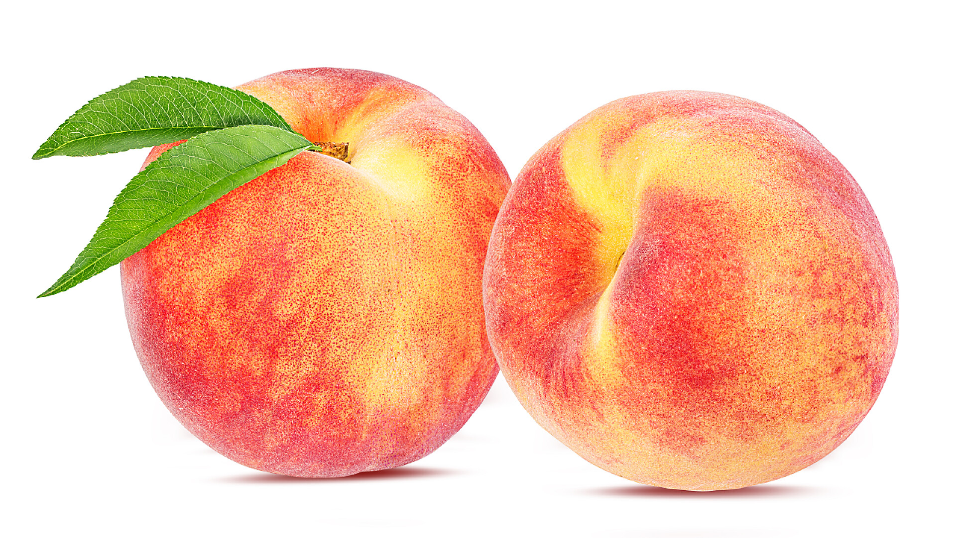 白色背景前的桃子特写水果