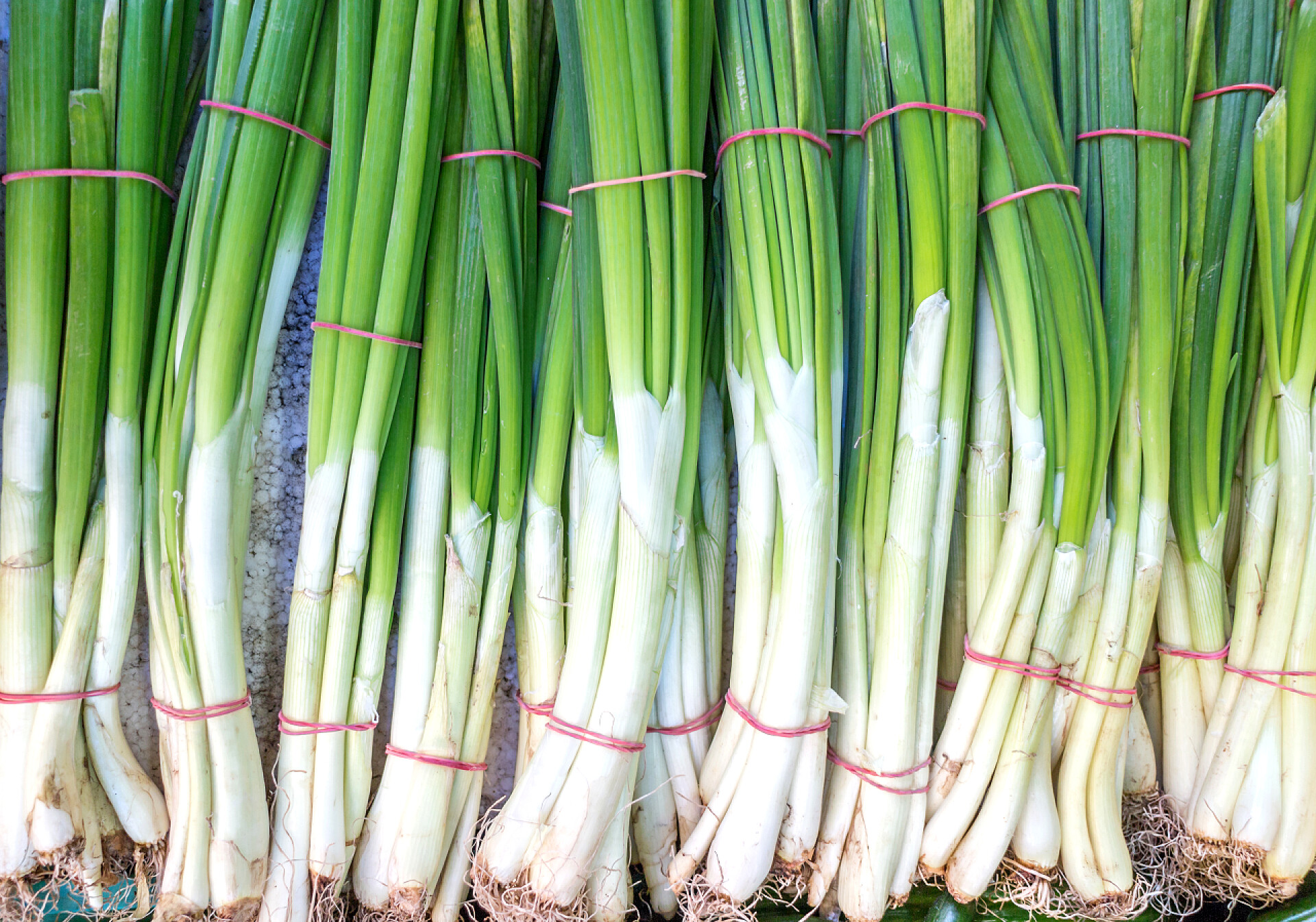 蔬菜市场展台上的青葱