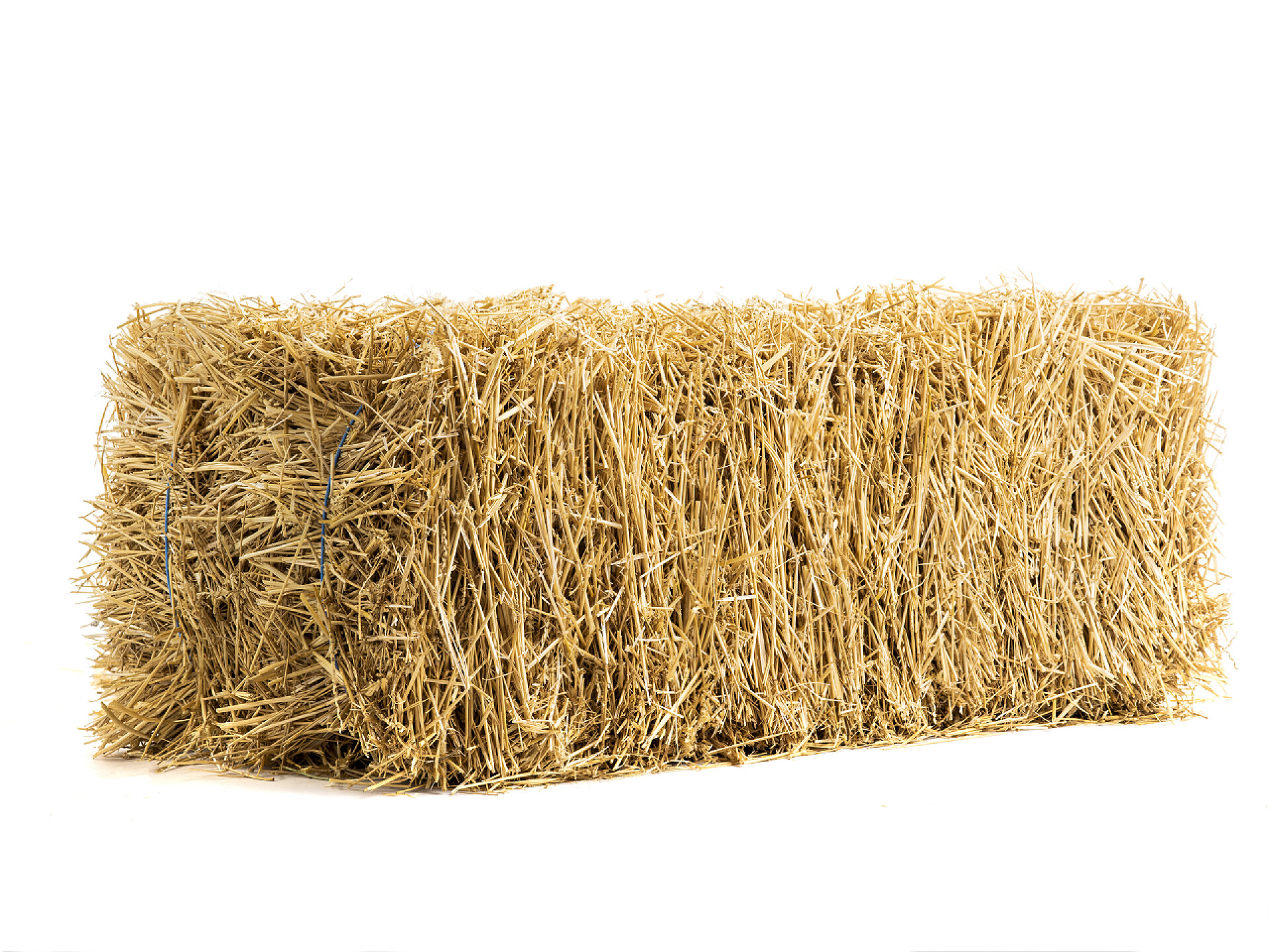 白色背景上的干干草堆特写