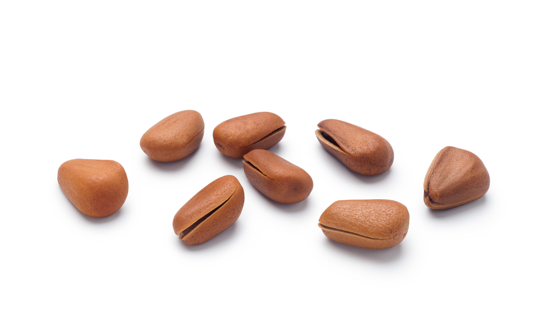 白色背景上的一堆松子食物