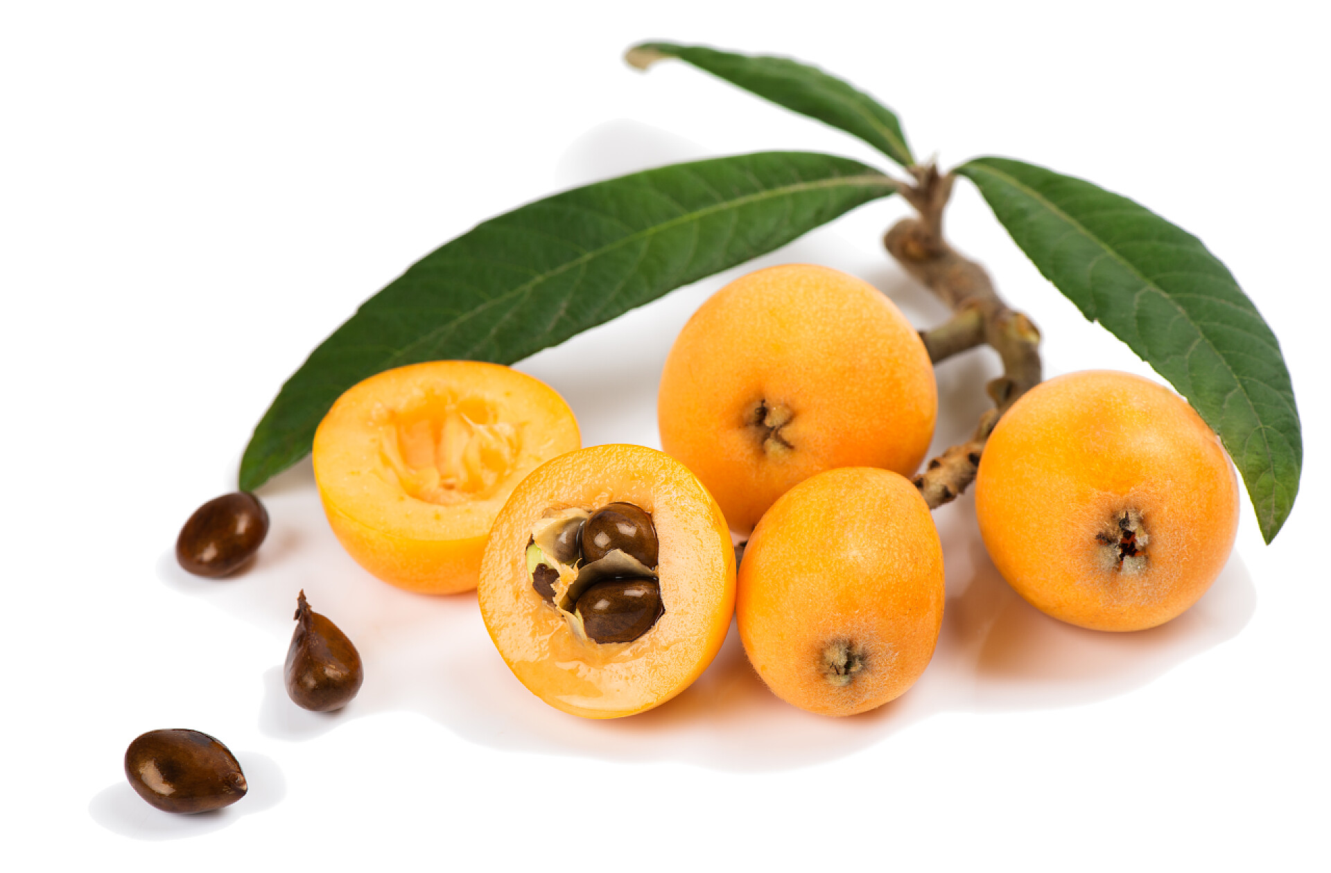 白色背景上的枇杷