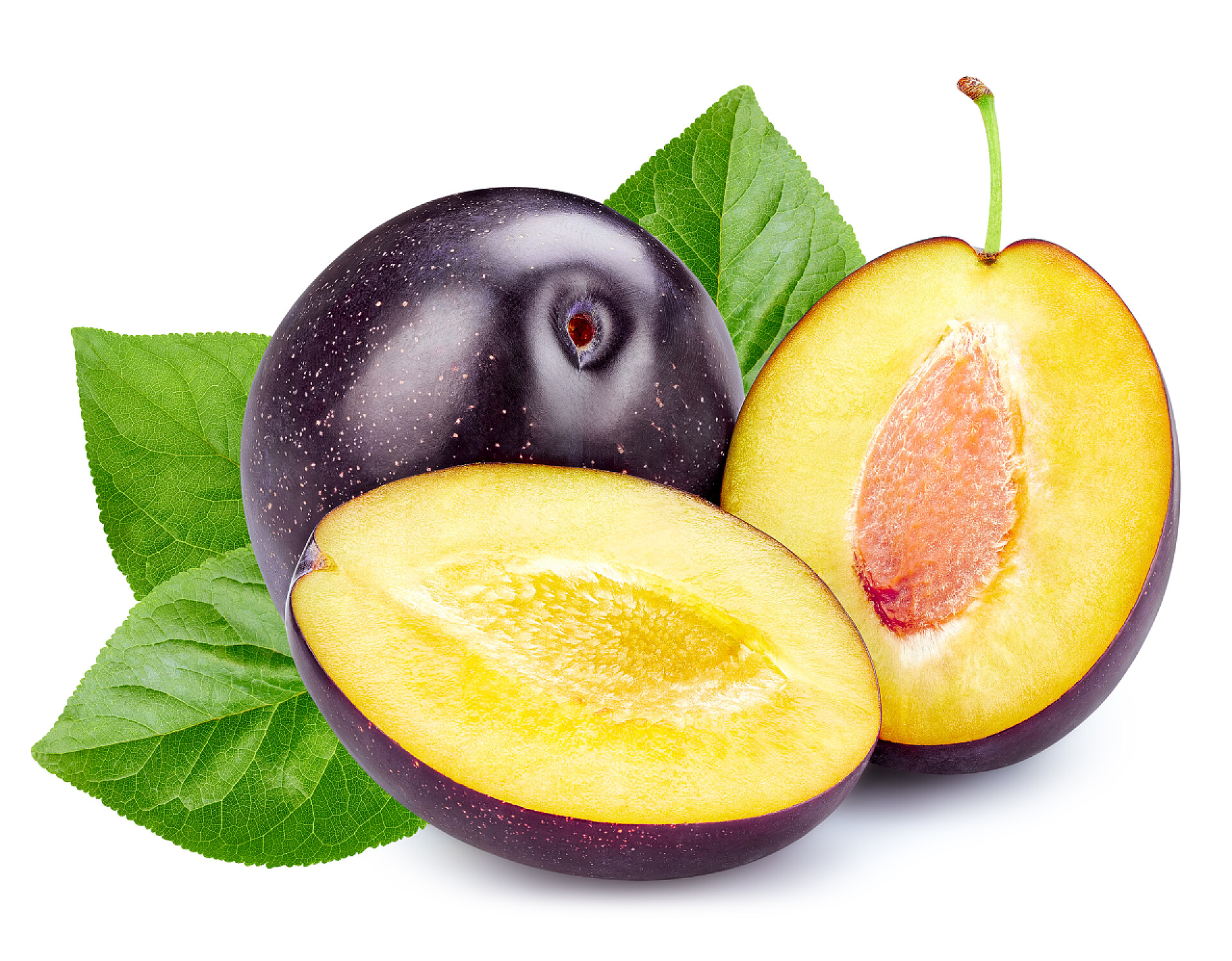 白色背景上的黑李子水果