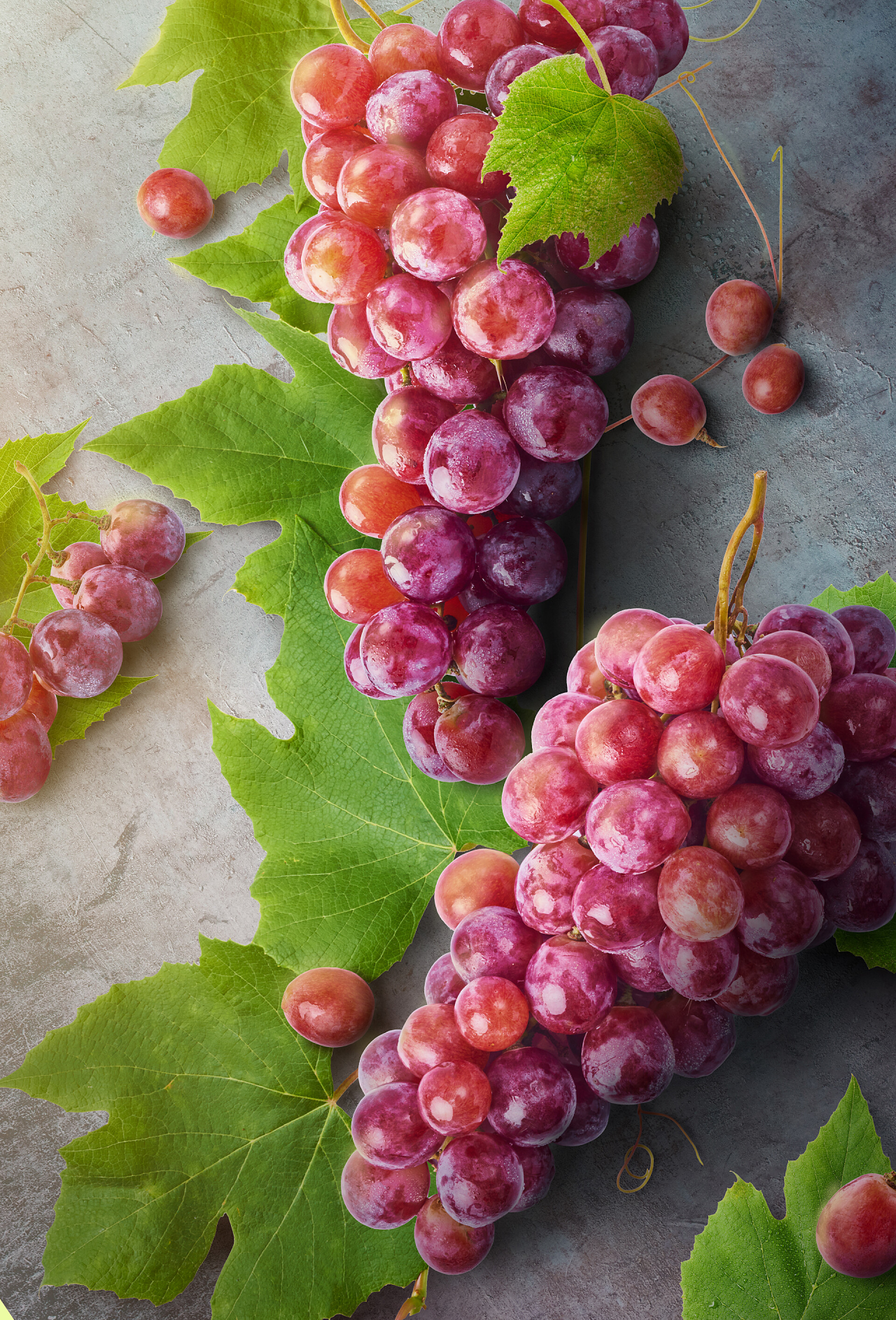 水果桌子上新鲜成熟的葡萄与葡萄叶