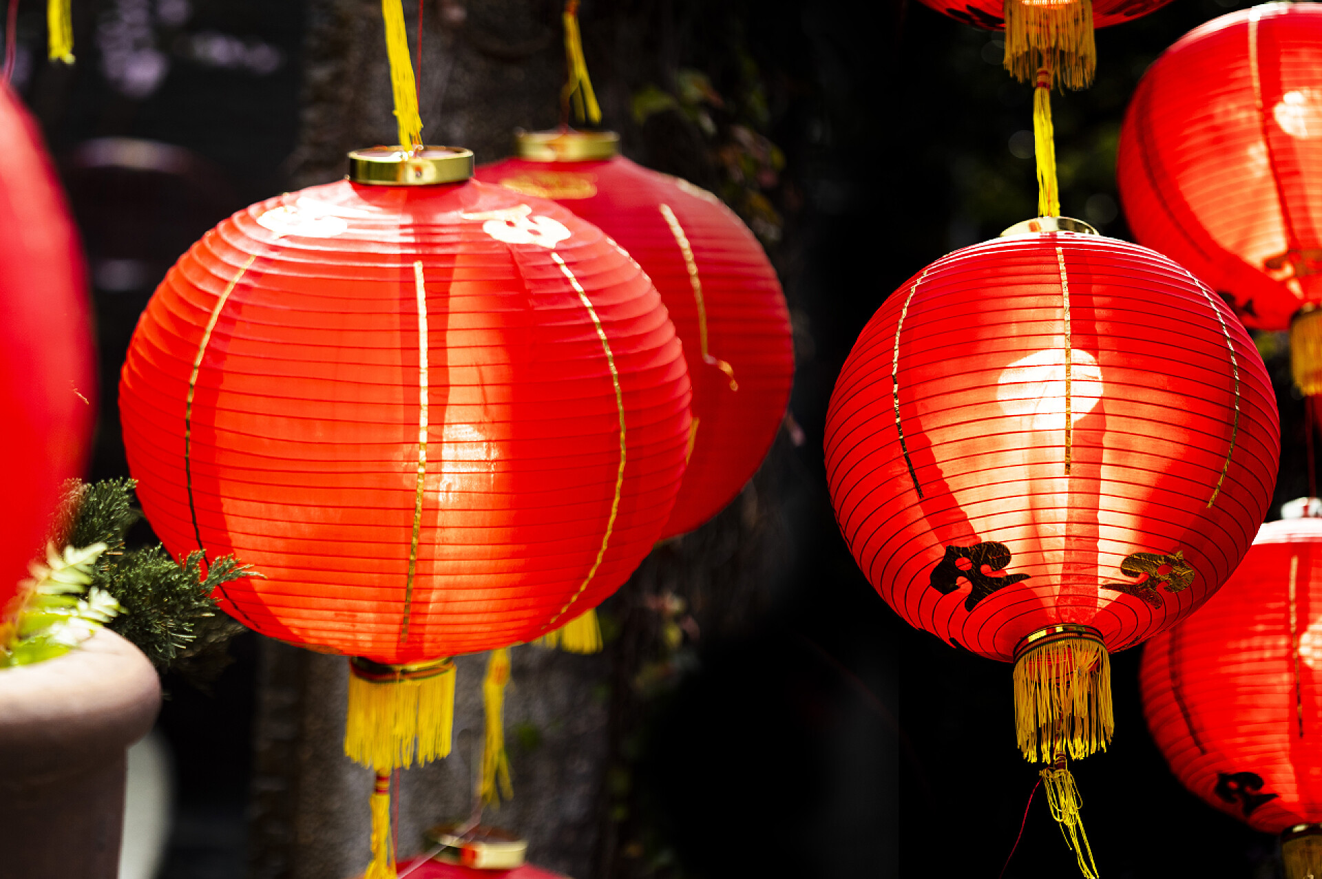 节日热点中国新年红灯笼特写镜头