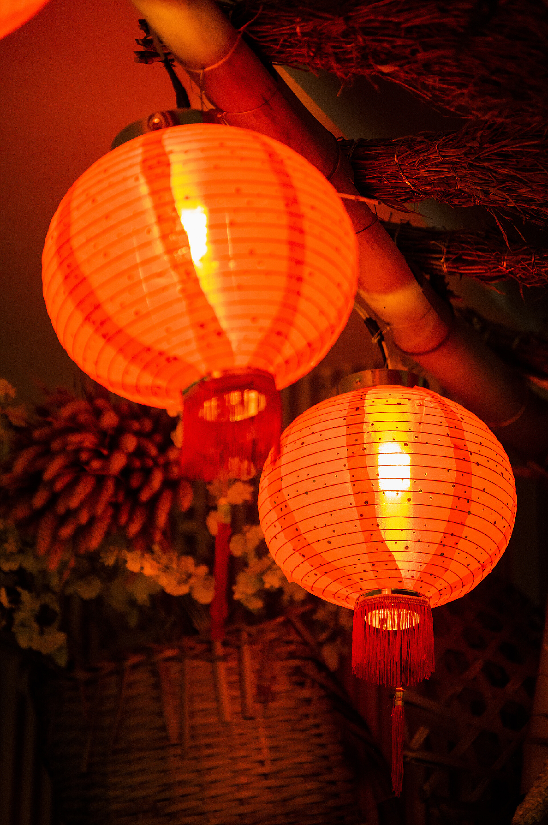 节日热点中国新年红灯笼特写镜头