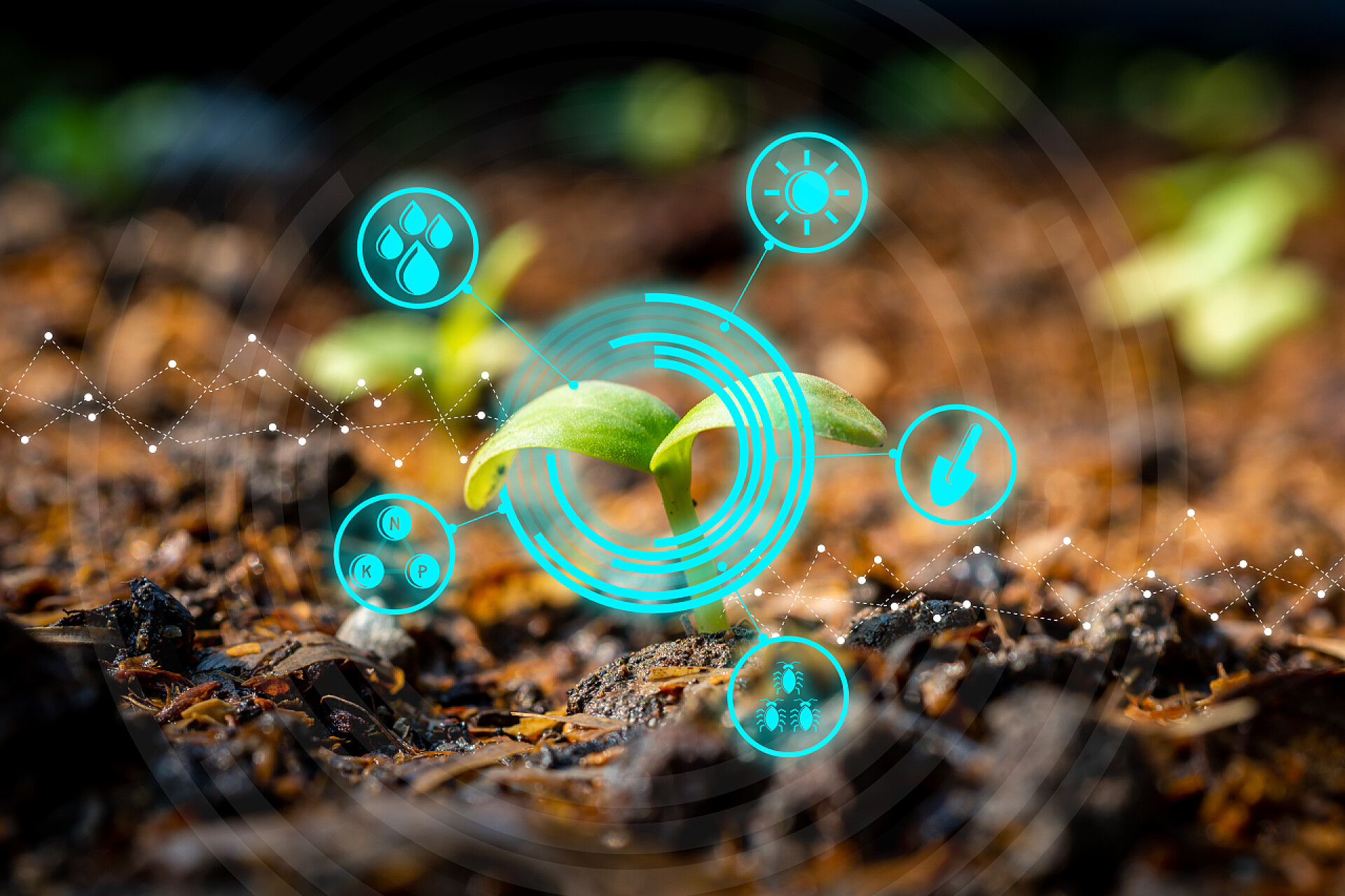 农业现代科技理念下耕地育苗